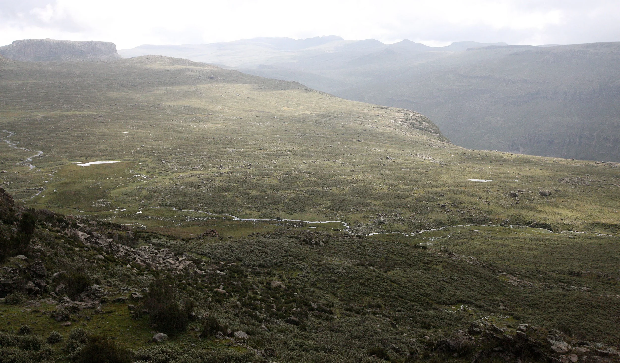 BALE MOUNTAINS NATIONAL PARK - SANETTI PLATEAU (43).JPG