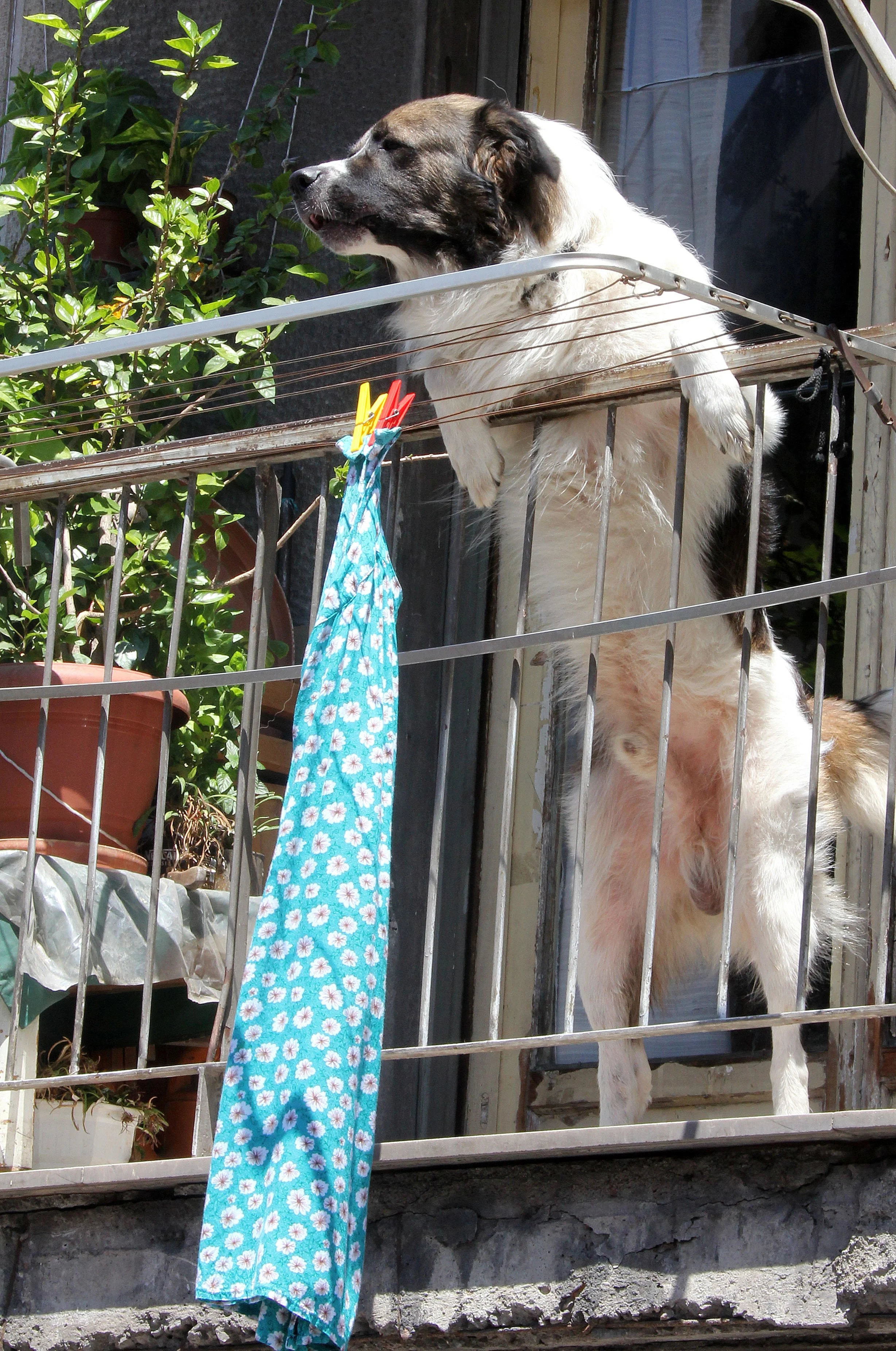 ATHENS GREECE - JUNE 2013 (43).JPG