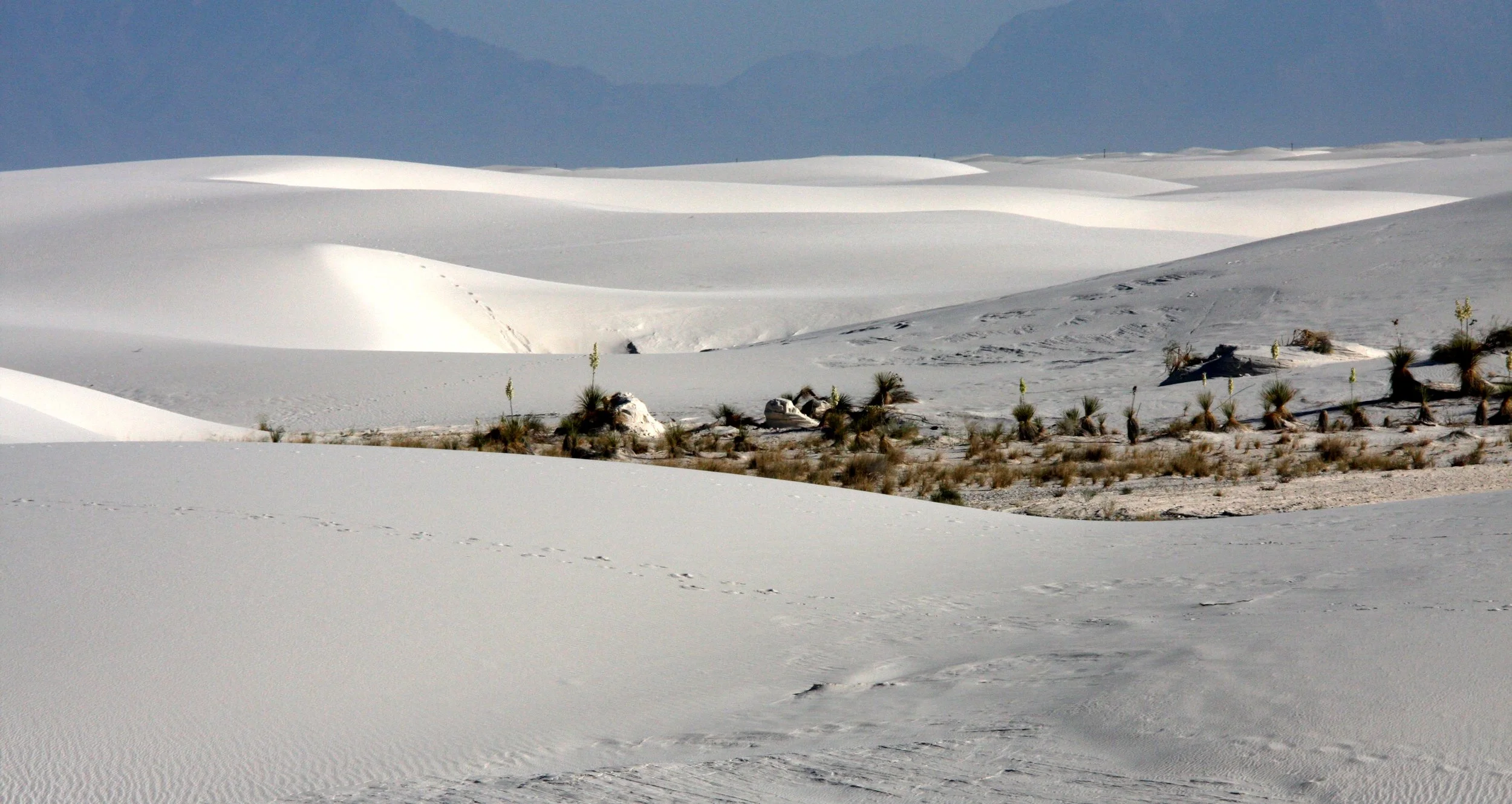 WHITE SANDS NATIONAL MONUMENT - JUNE 2010 (19).JPG