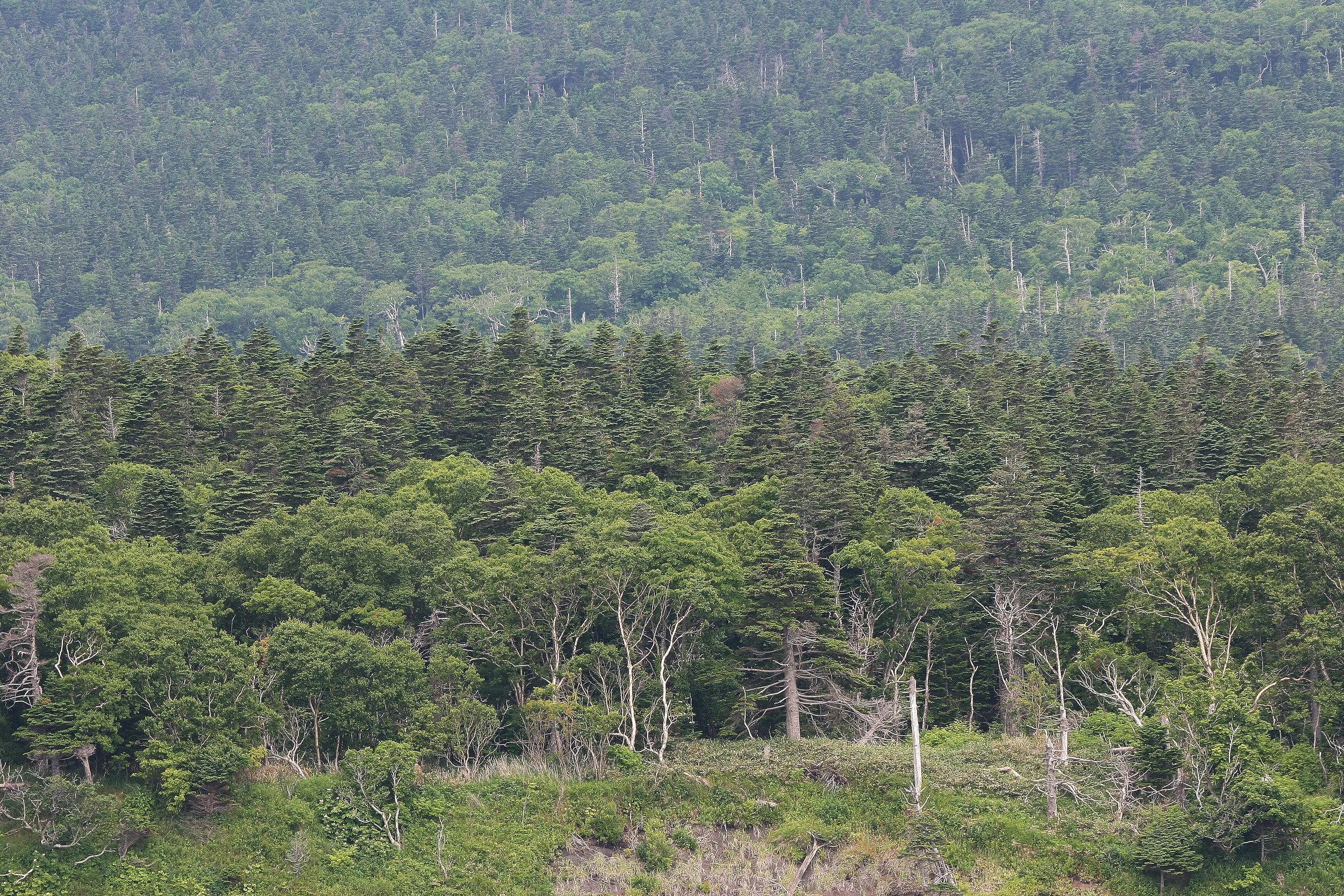 KURIL ISLANDS - VIEWS LANDSCAPES AND GEOLOGY (7).jpg