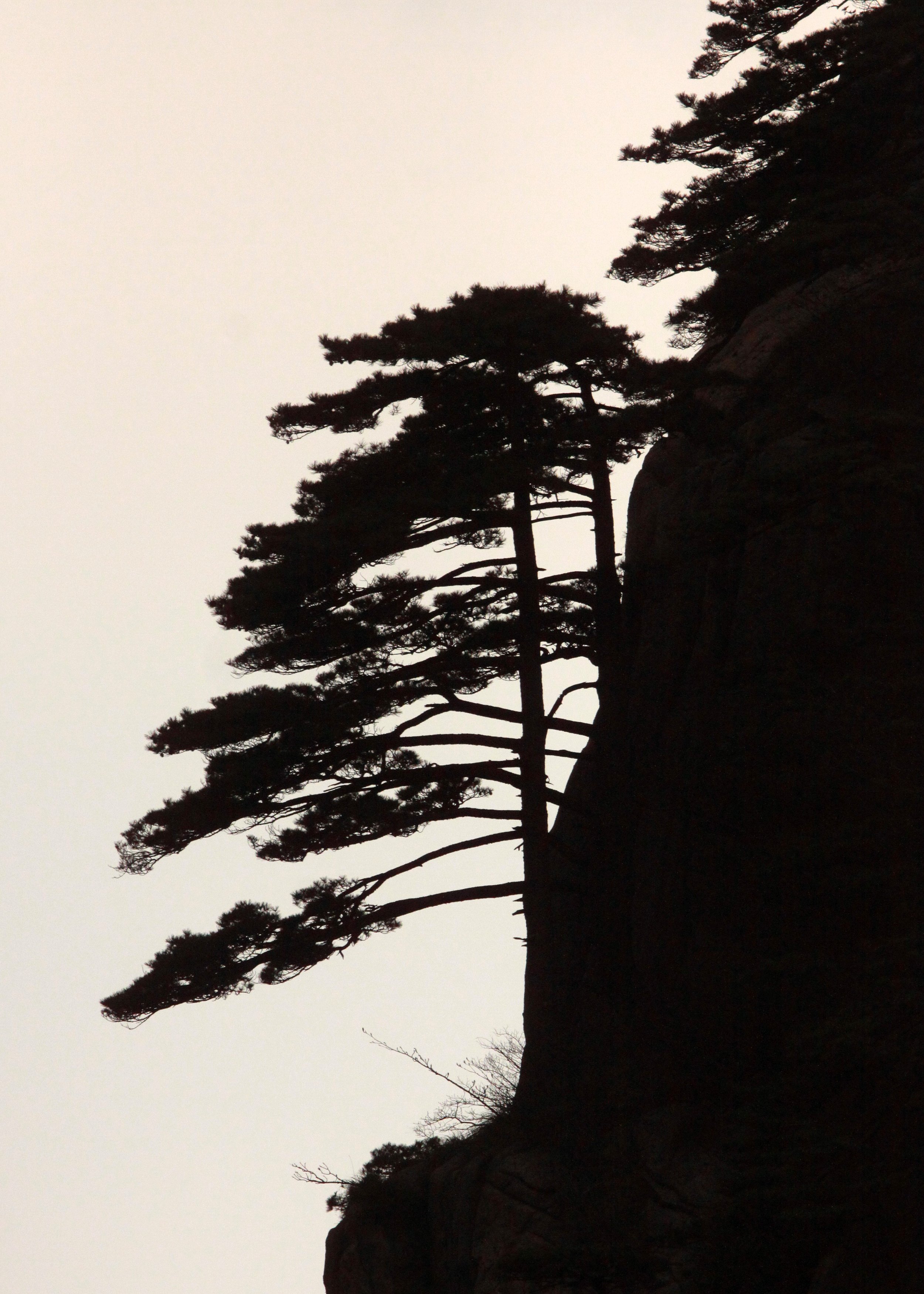 HUANGSHAN NATIONAL PARK - ANHUI PROVINCE CHINA (87).JPG