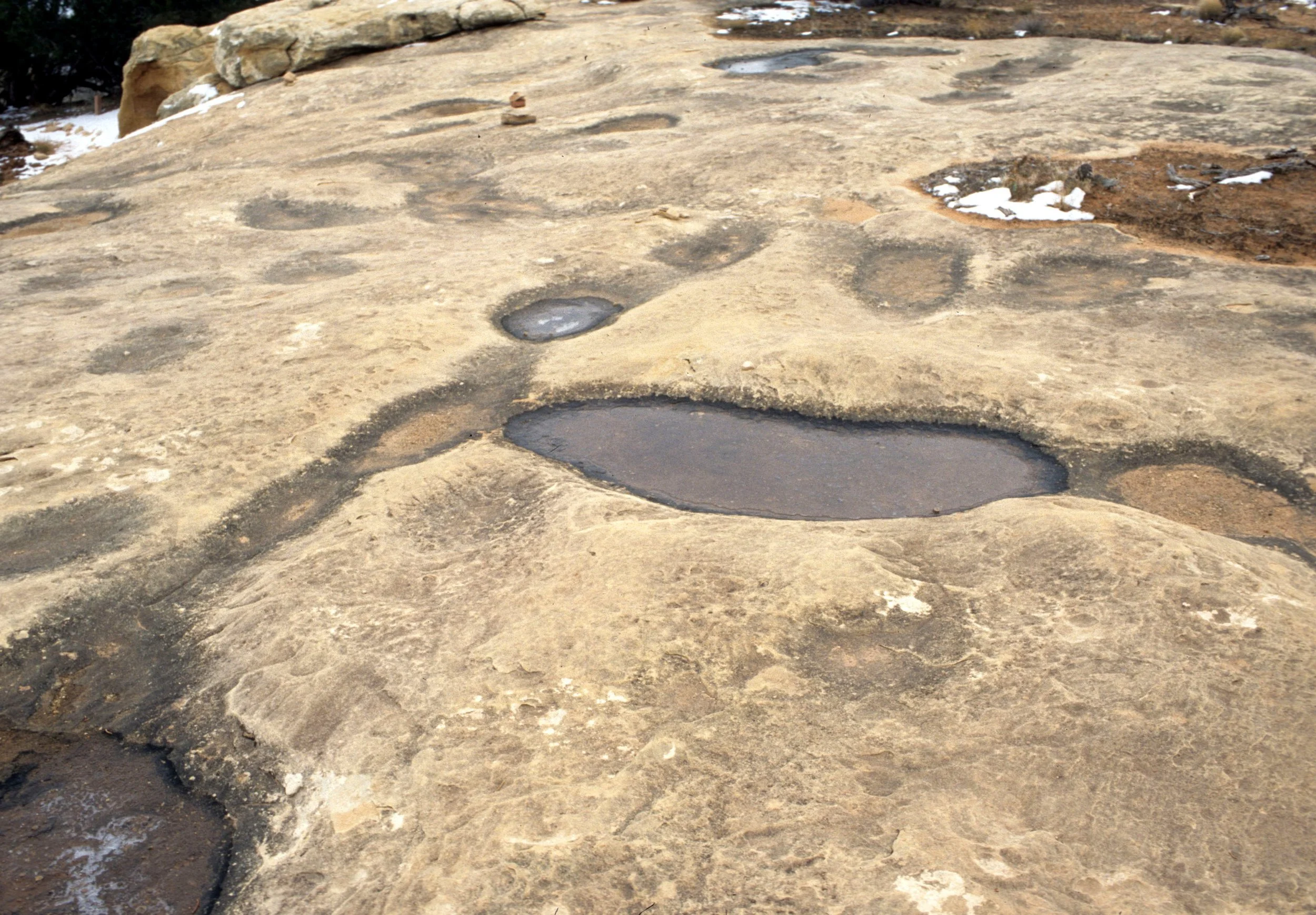 UTAH - CANYONLANDS NP - POTHOLES.jpg