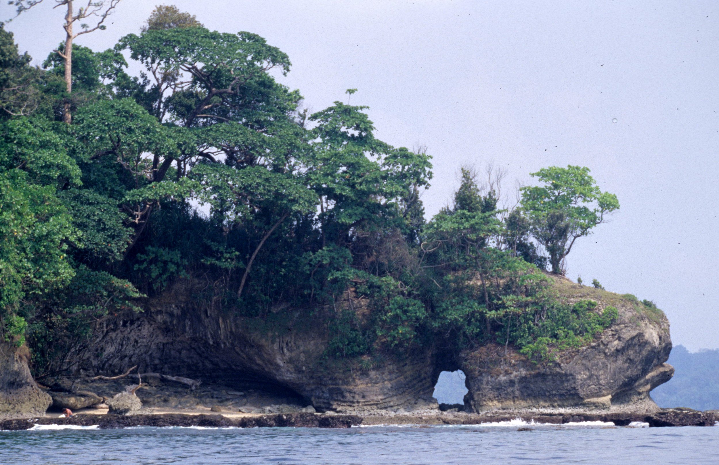 UJON KULONG NP - INDONESIA - JAVA.jpg