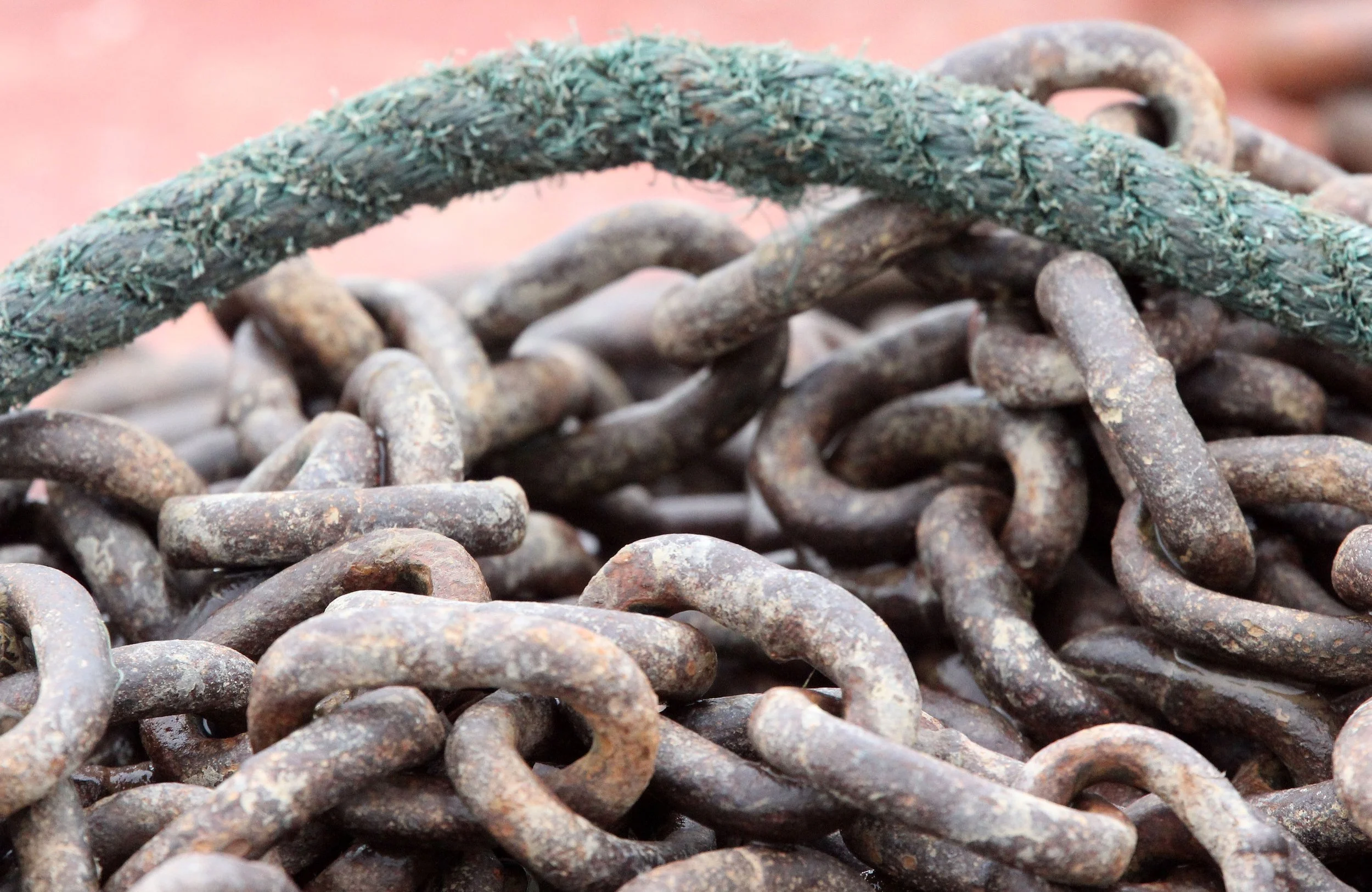 POYANG LAKE JIANGXI PROVINCE CHINA (38).JPG