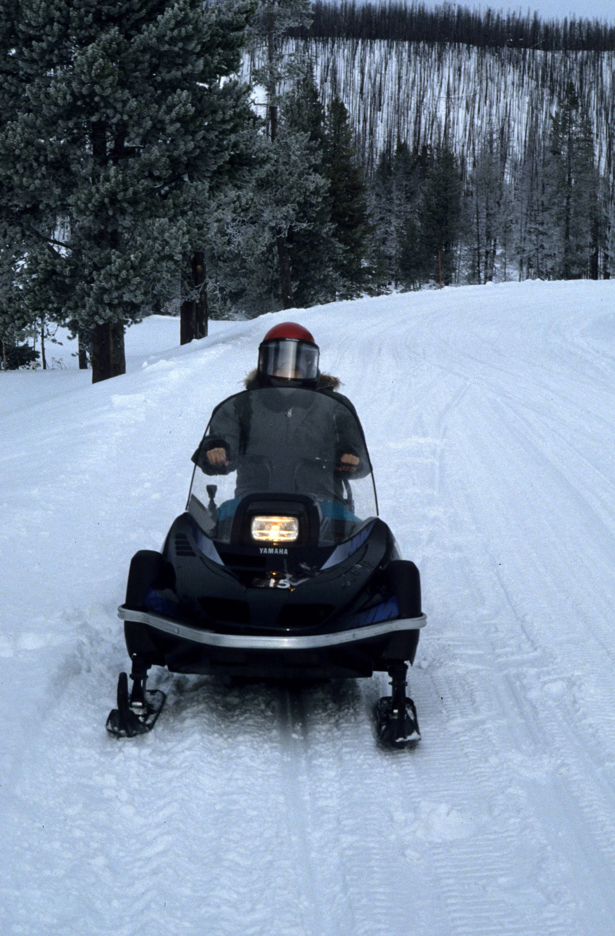 YELLOWSTONE - SNOWMOBILE RIDE.jpg