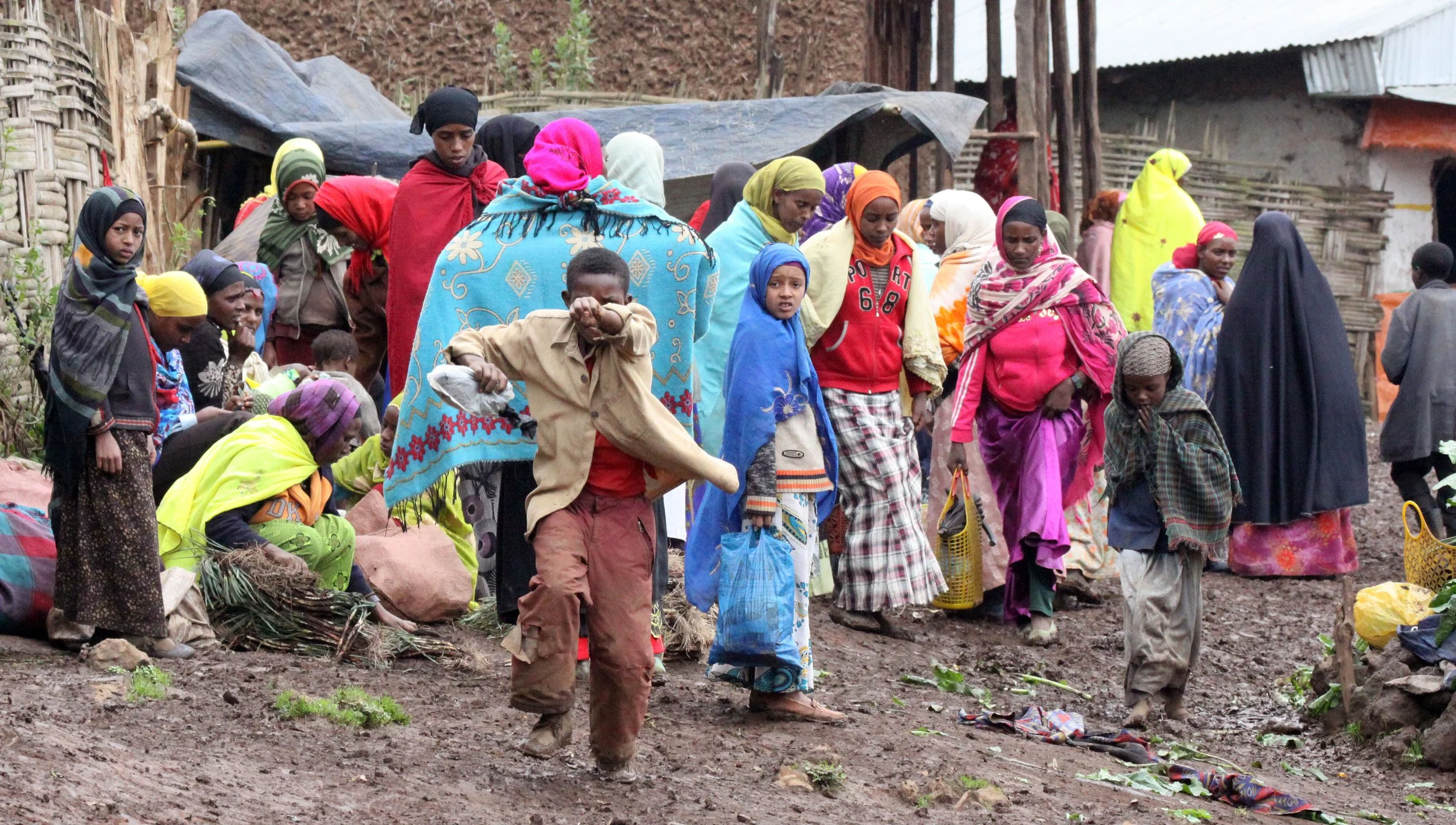 BALE MOUNTAINS NATIONAL PARK ETHIOPIA - HARRENA FOREST (13).JPG
