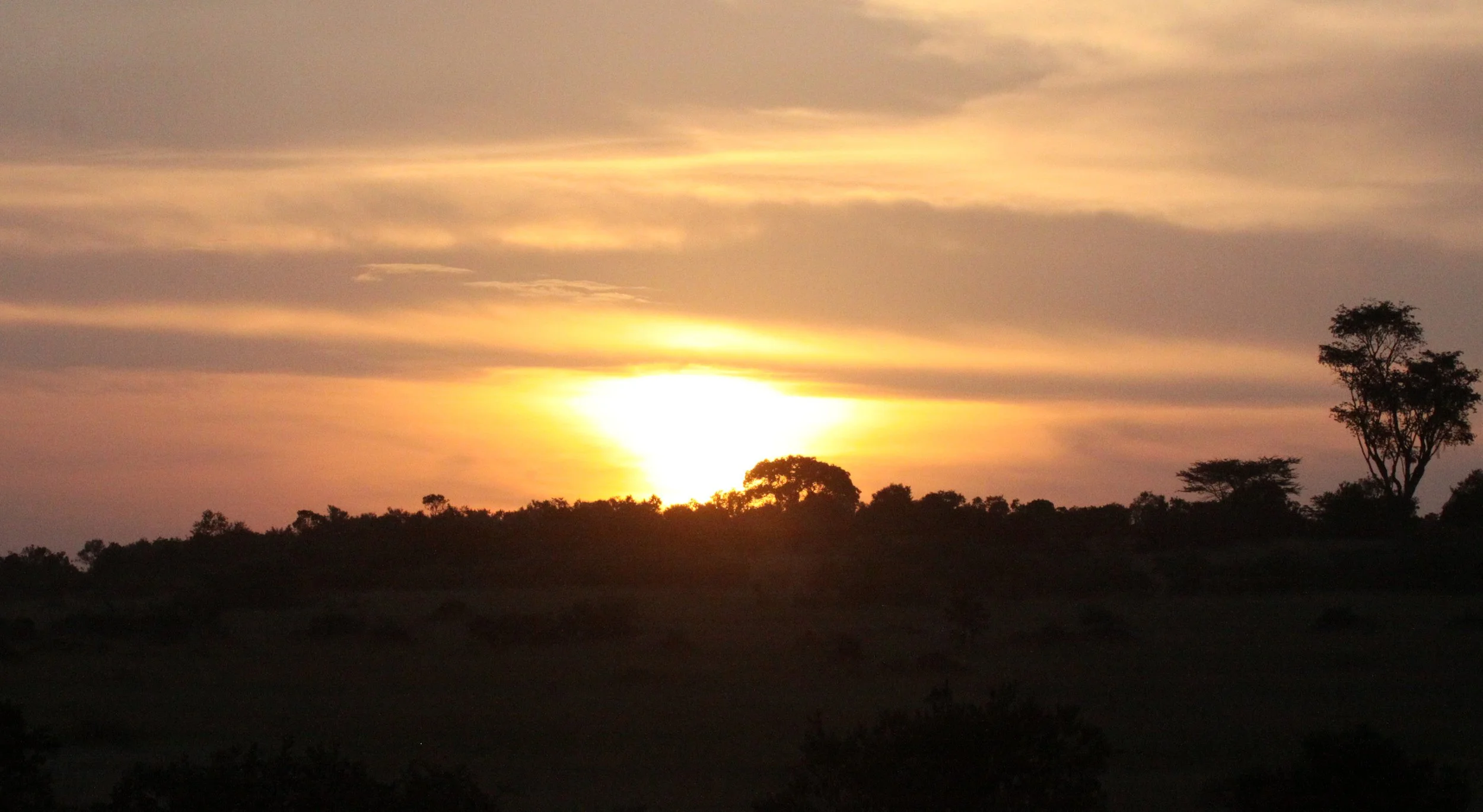 MASAI MARA NATIONAL PARK KENYA (219).JPG
