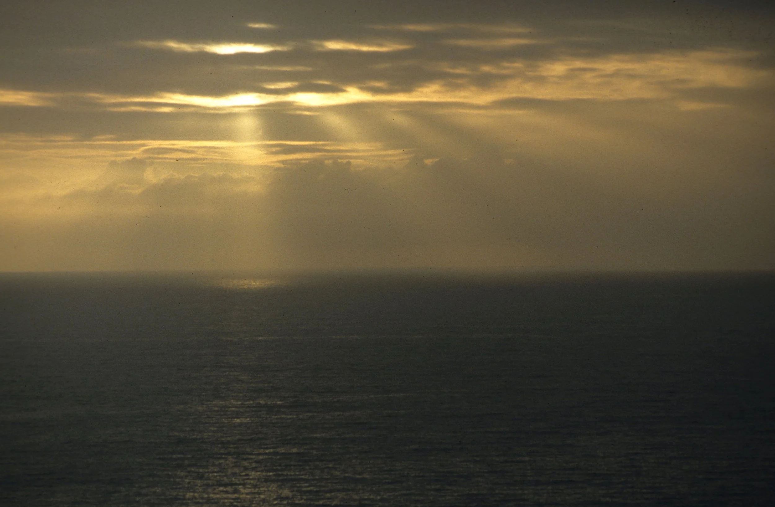 CALIFORNIA - POINT REYES - PACIFIC VIEW.jpg
