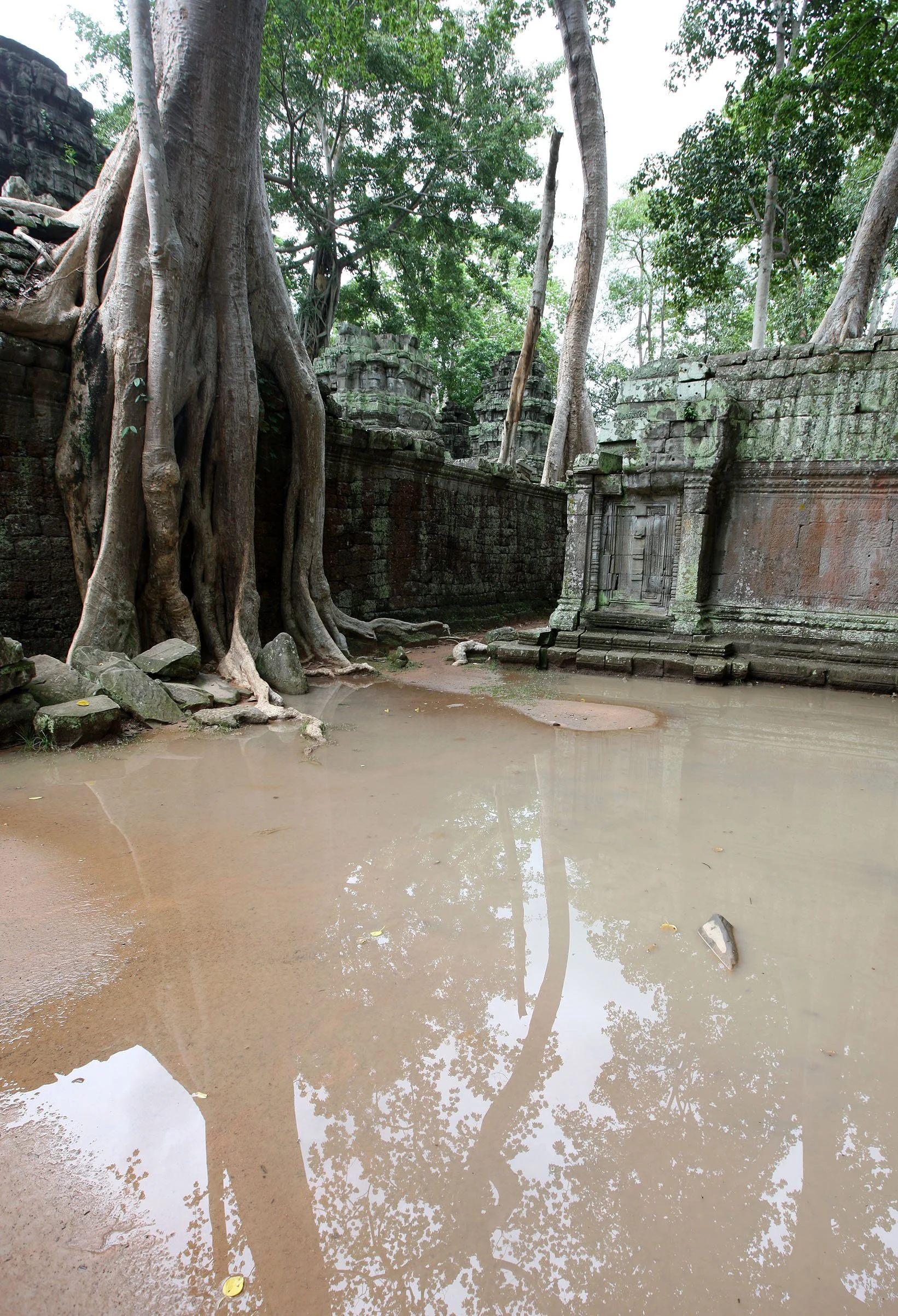 TA PROHM TEMPLE CAMBODIA - JULY 2010 (17).JPG