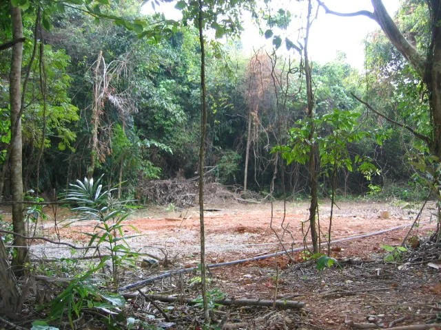 KOH LANTA - PROPERTY - 2005 (137).jpg