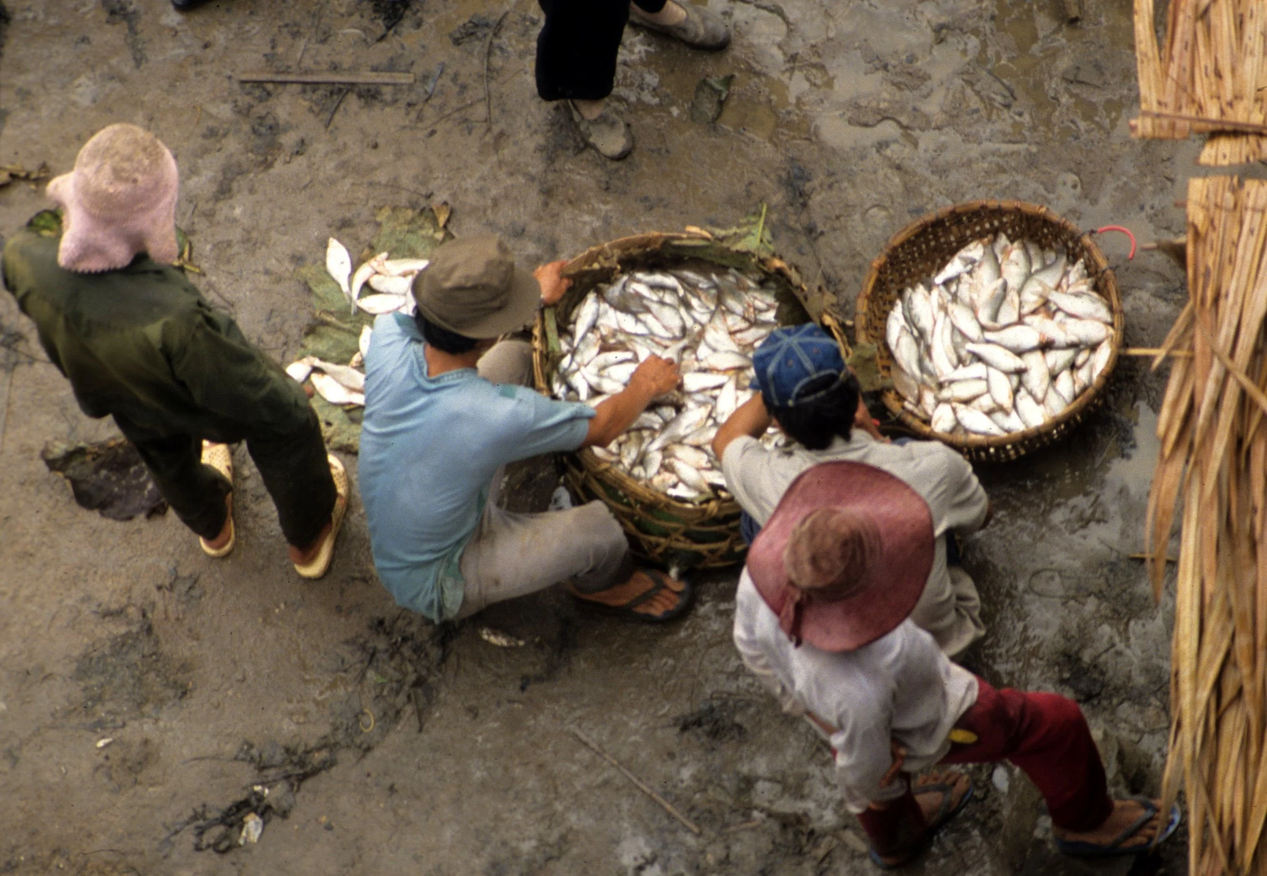 CAT TIEN - MARKET.jpg