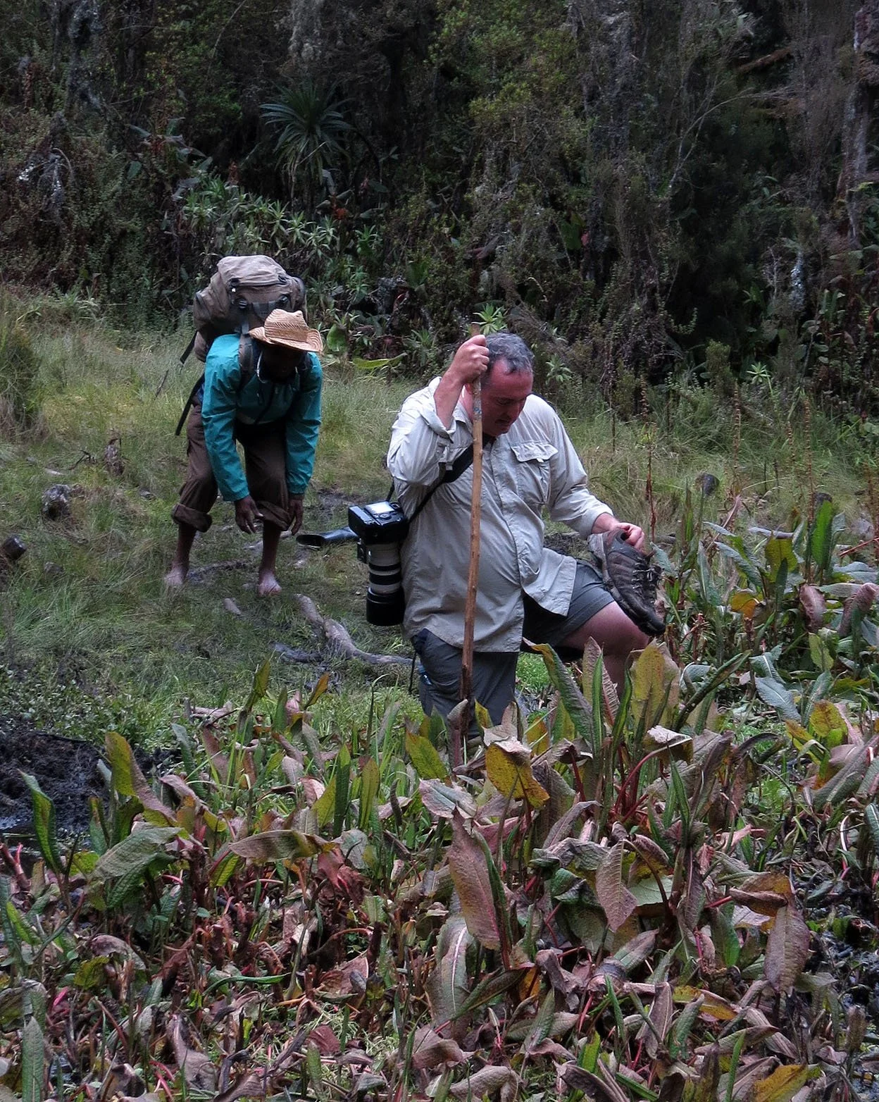 RWENZORI NATIONAL PARK UGANDA (161).JPG