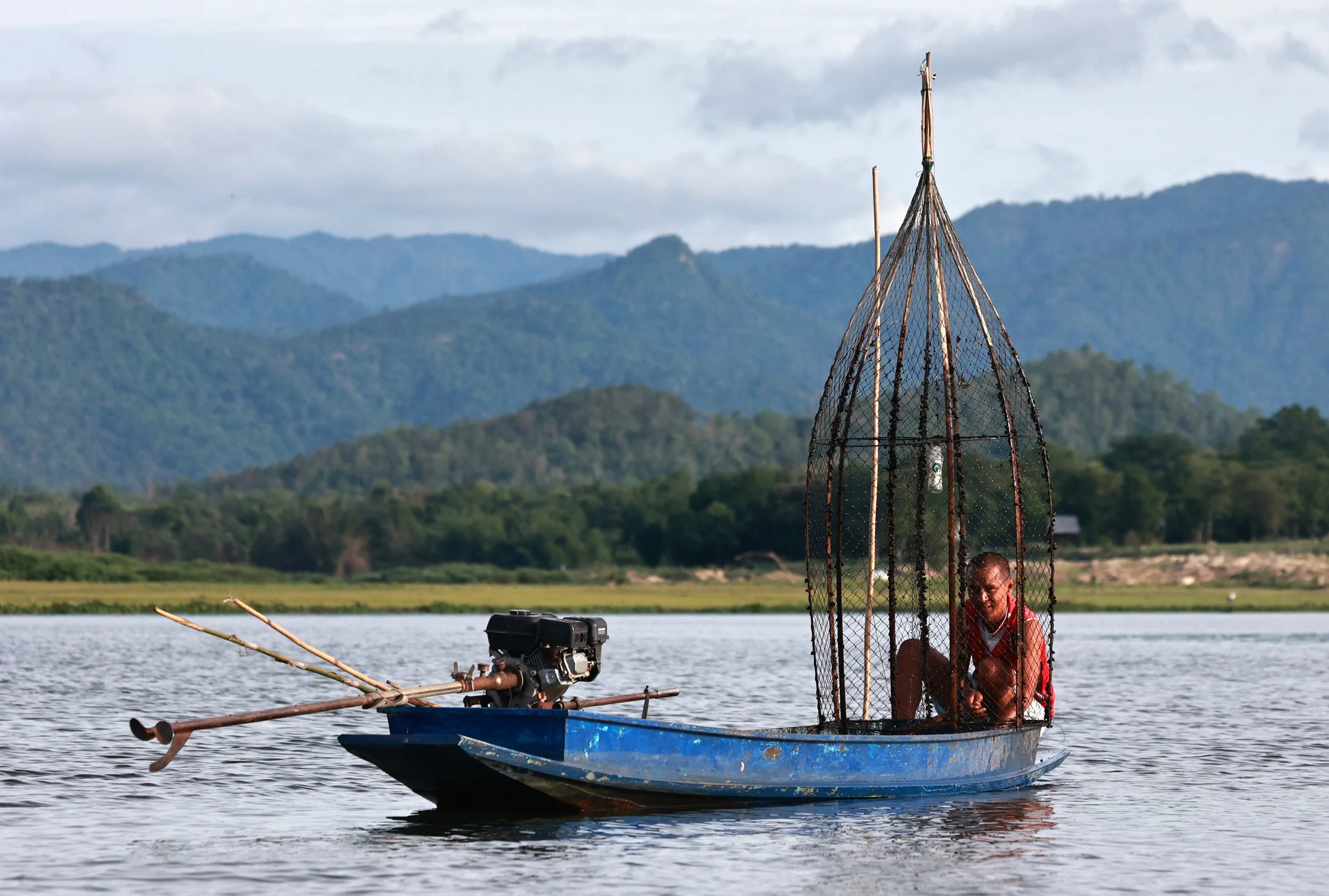 Huai Kha Khaeng Wildlife Sanctuary June 2024 (298).jpg
