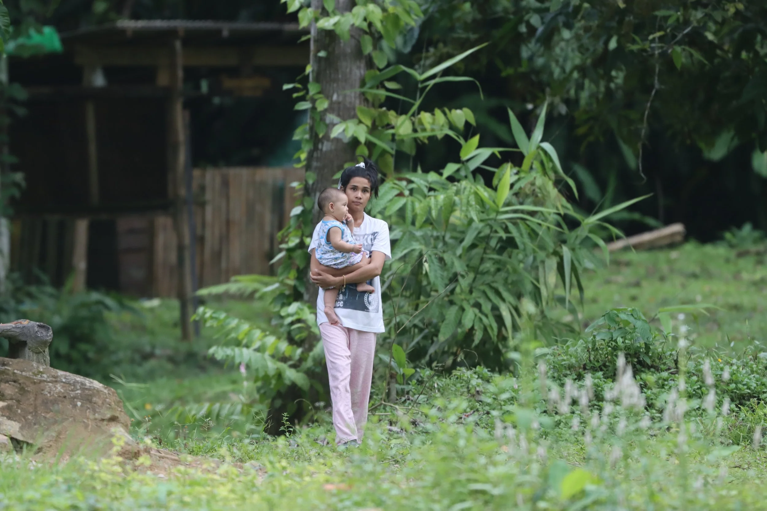 2020 Khao Luang NP, Krung Ching Waterfall Area Road Trip (20).JPG