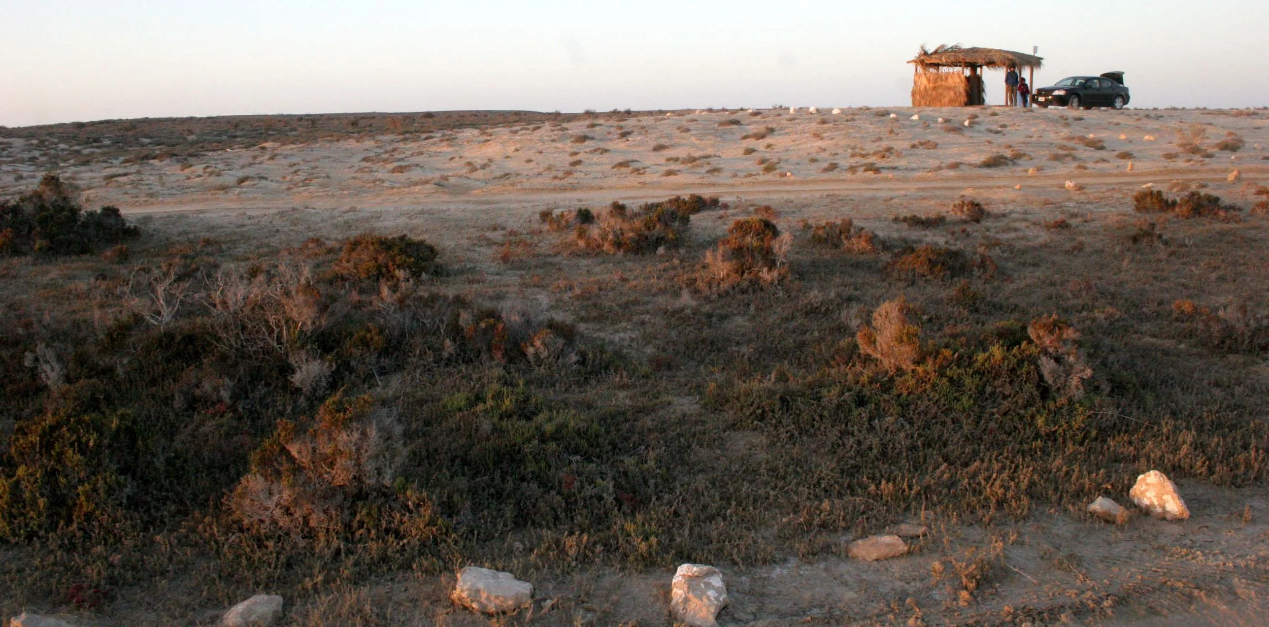 OJO DE LIEBRE LAGOON BAJA MEXICO - BASE CAMP (5).JPG
