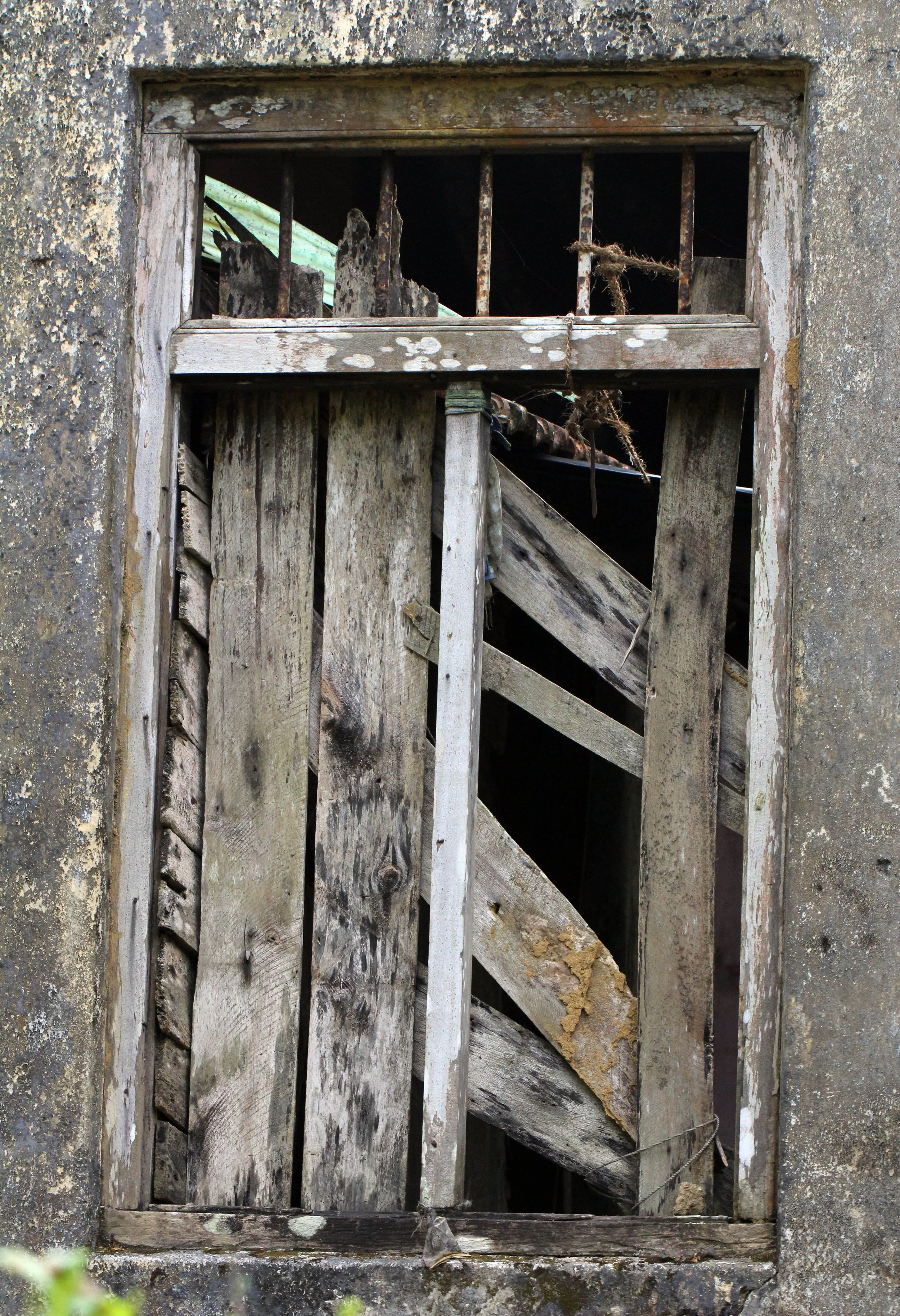 KITULGALA FOREST PRESERVE, SRI LANKA (41).JPG
