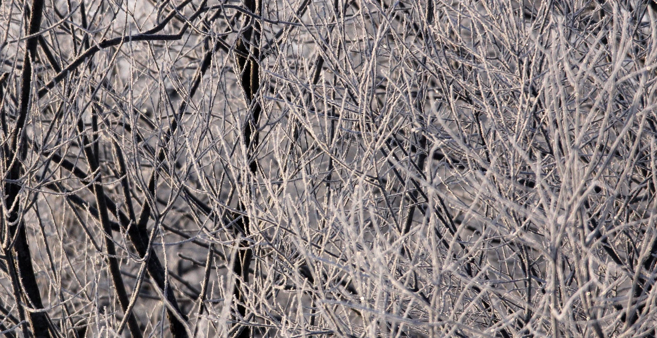 OTOWABASHI - TSURUI TOWN - HOKKAIDO JAPAN (3).JPG