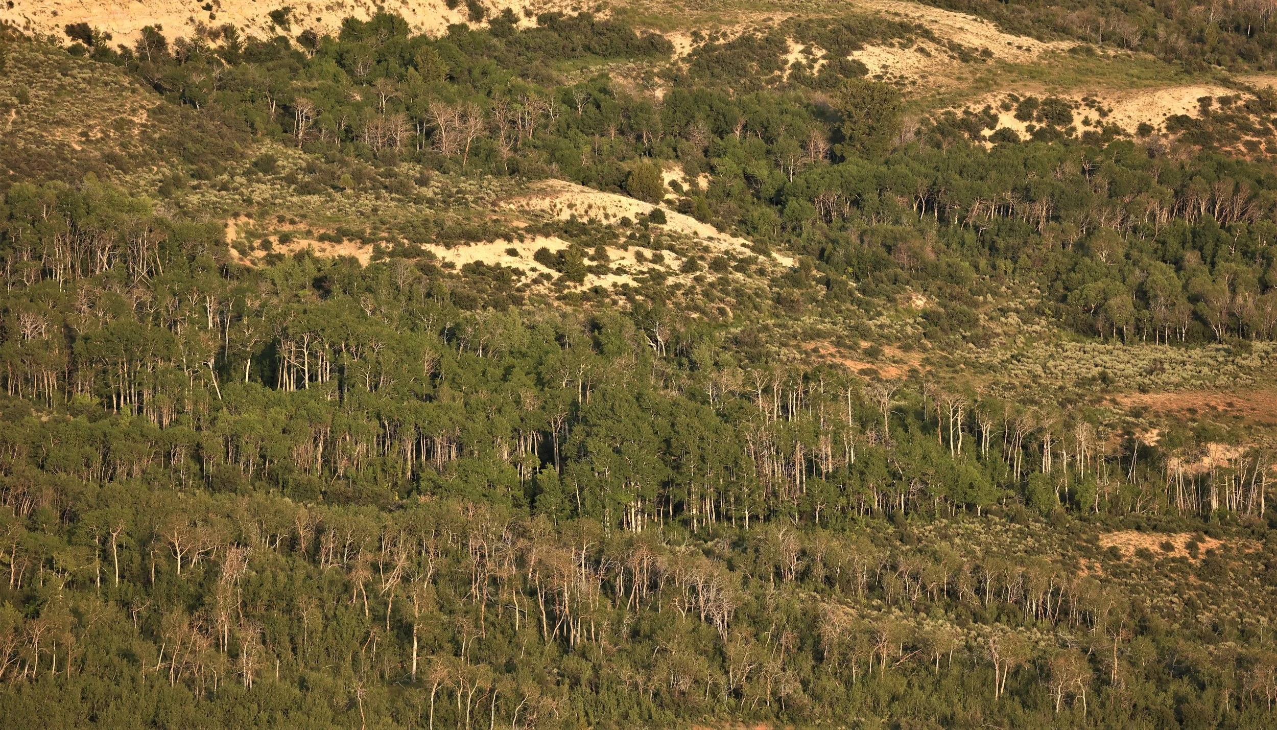 FOSSIL BUTTES NATIONAL MONUMENT WYOMING (133).jpg