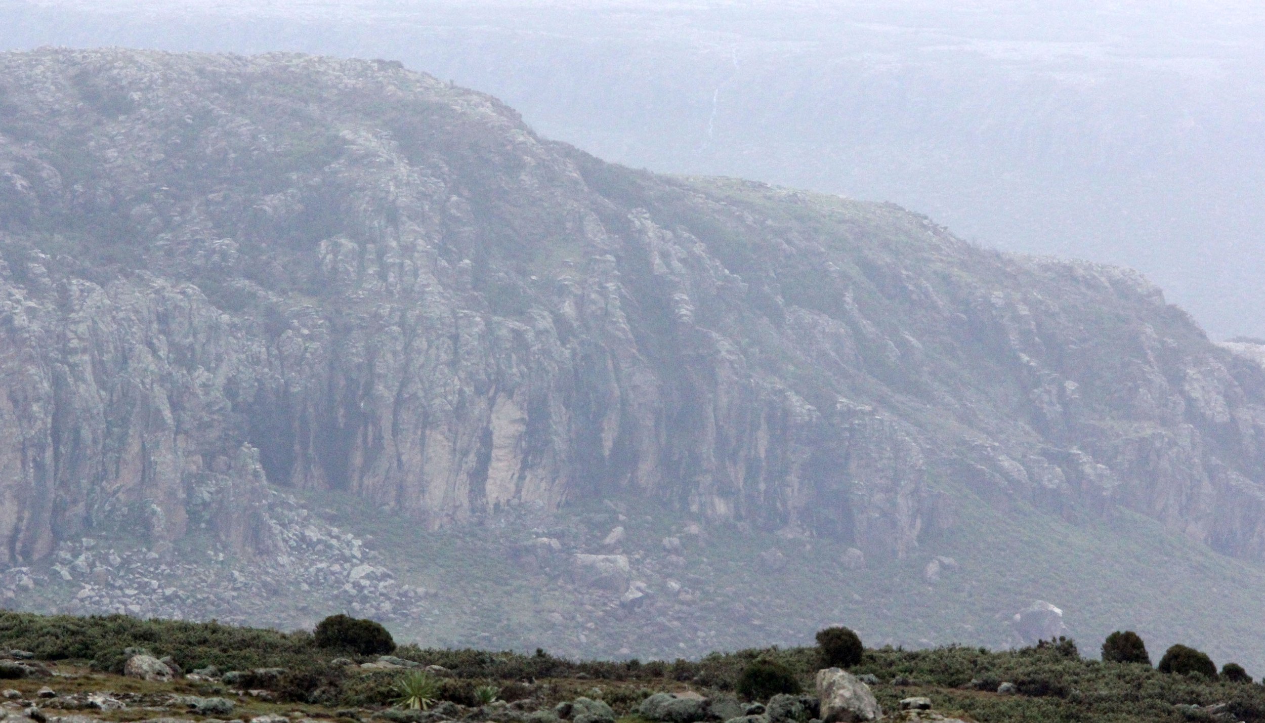 BALE MOUNTAINS NATIONAL PARK ETHIOPIA (367).JPG