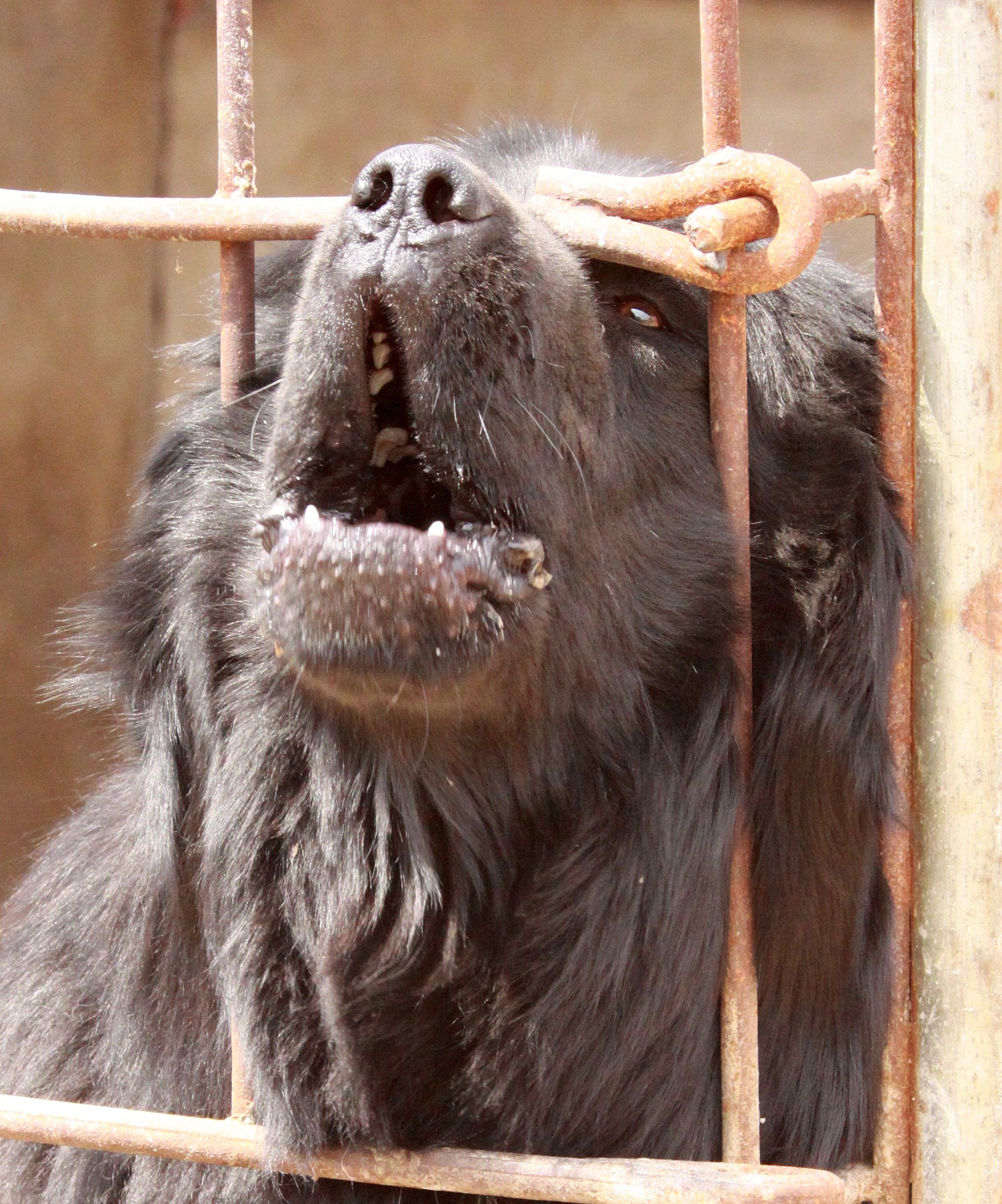 KULUN QI & SURROUNDING VILLAGES - INNER MONGOLIA CHINA (65).JPG