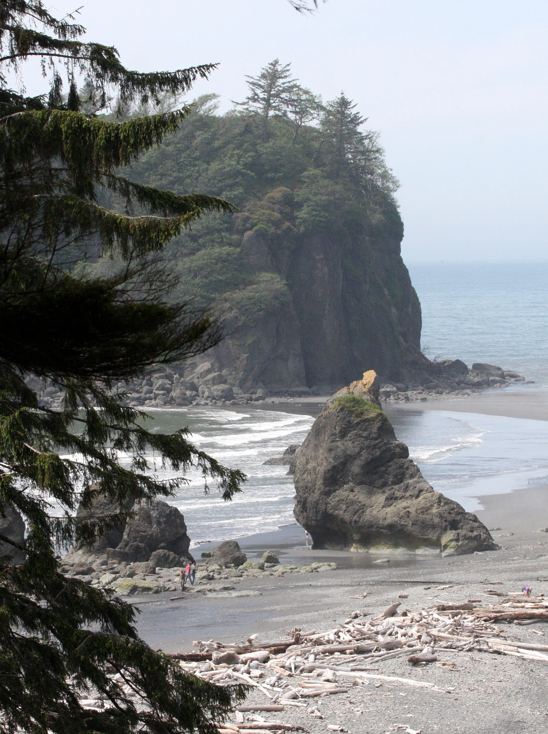 RUBY BEACH SEA STACKS - ONP (2).JPG
