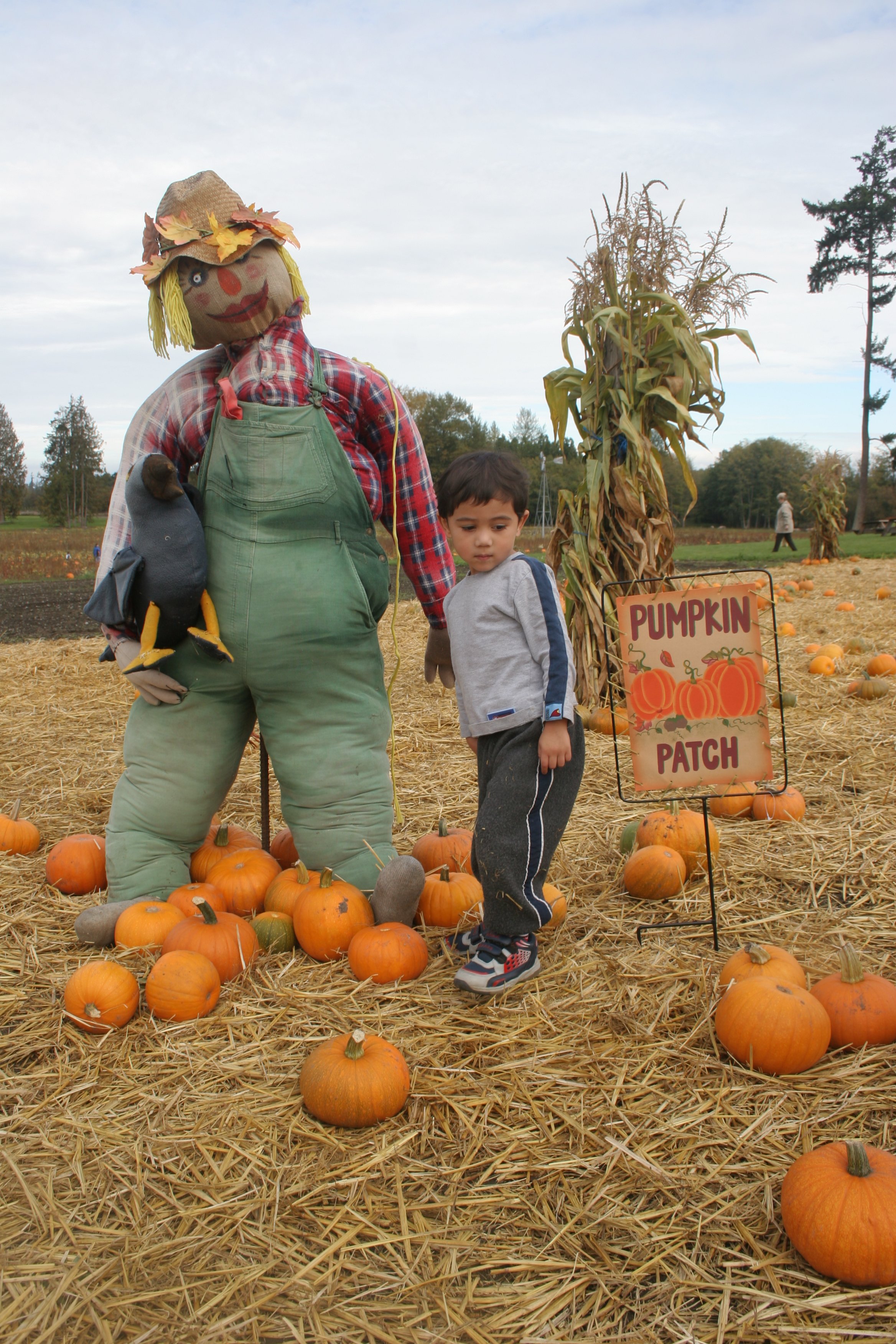 2005-6-9 PUMPKIN PATCH HALLOWEEN.JPG