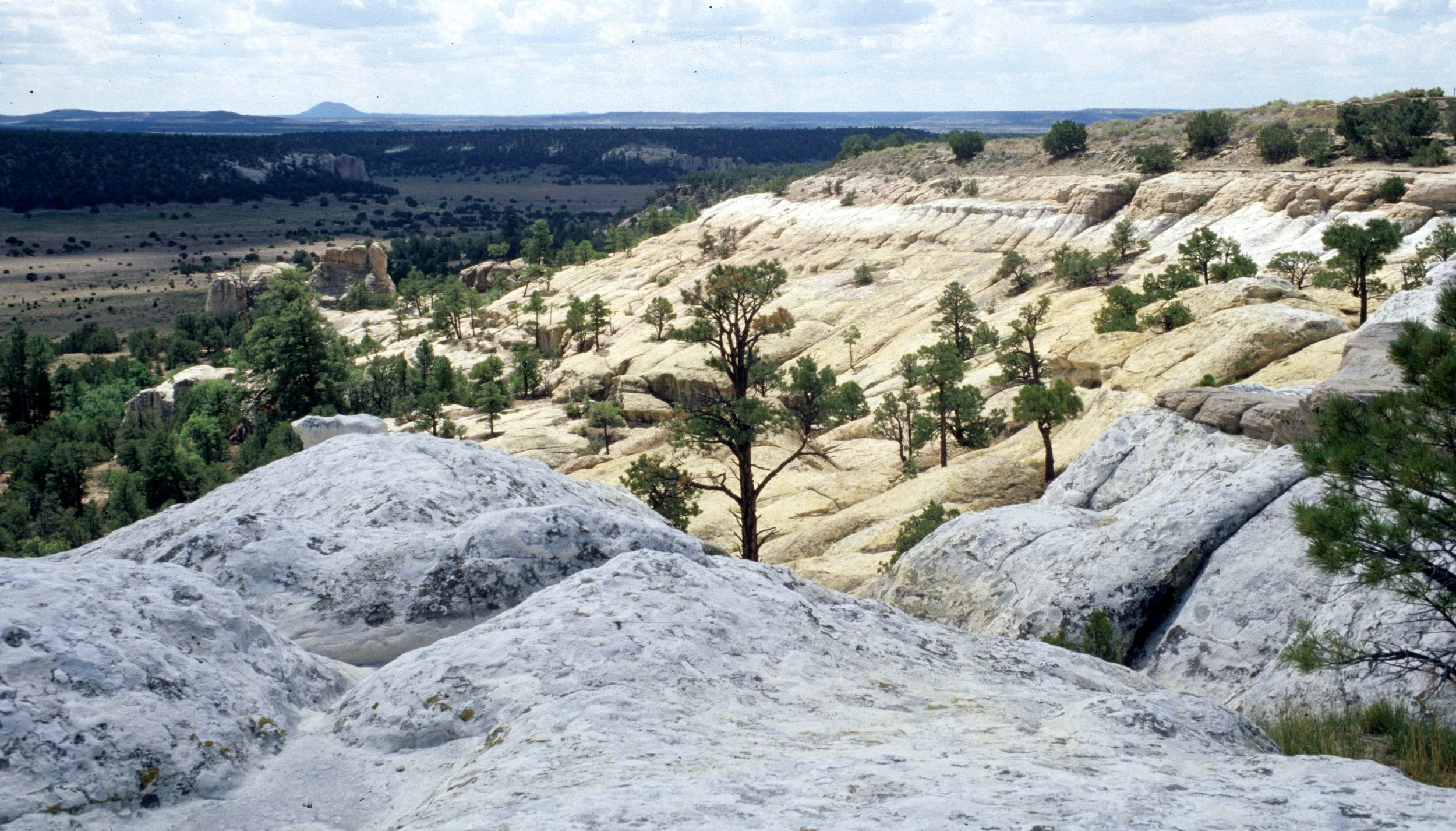 ANASAZILAND - EL MORRO NATIONAL MONUMENT - NEW MEXICO (4).jpg
