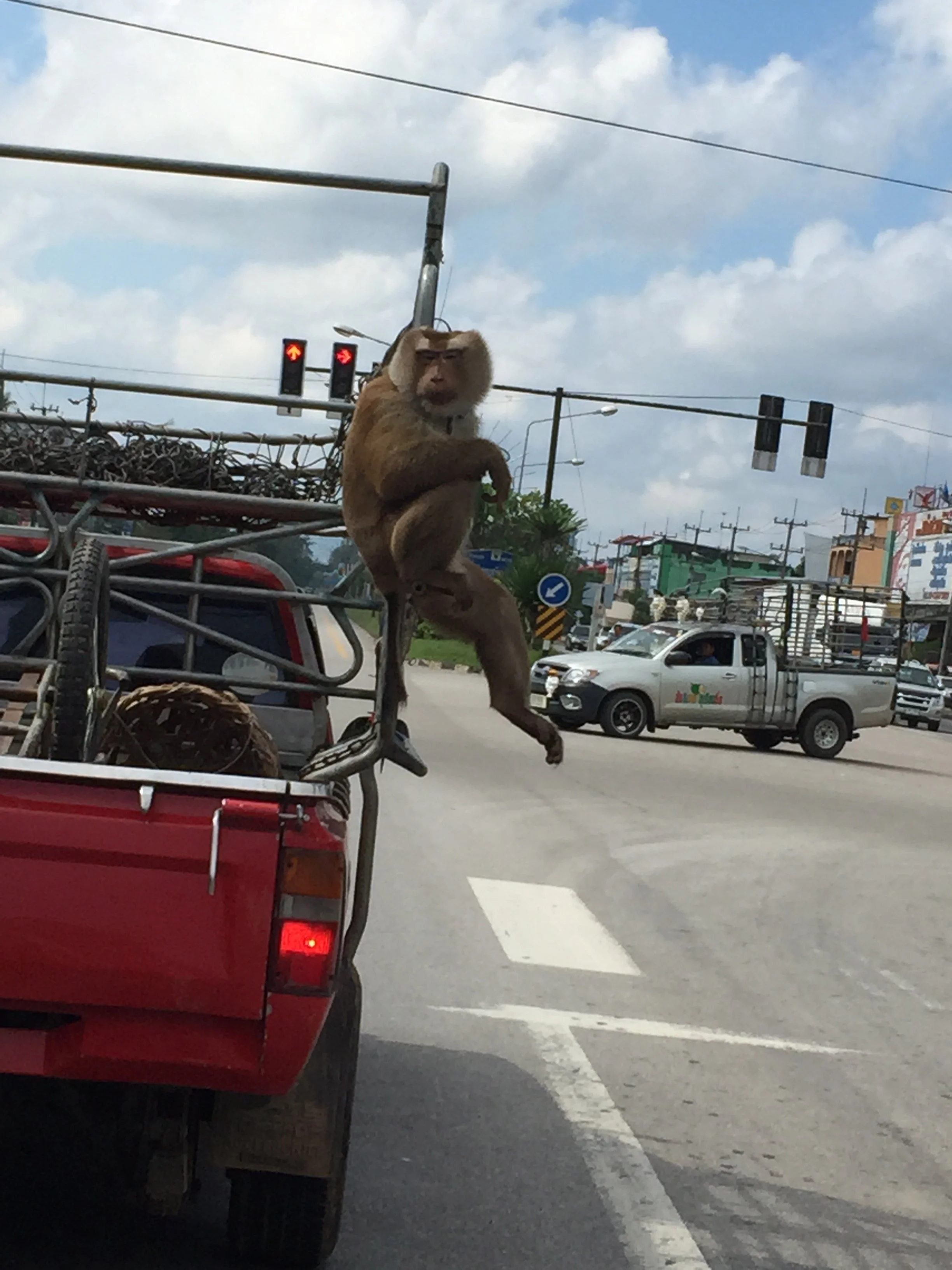 2015 Koh Lanta Road Trip Christmas Break (80).jpg