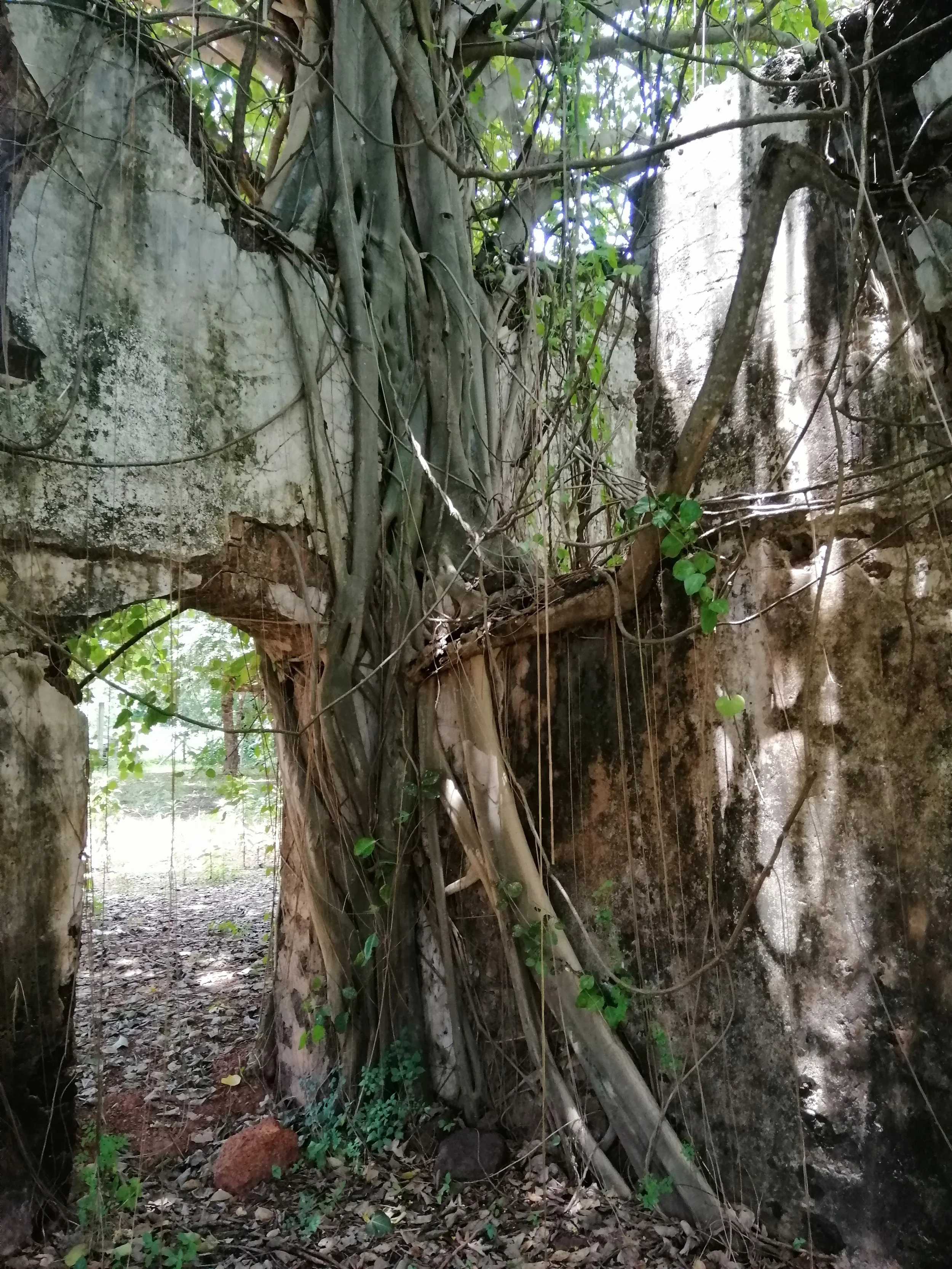 2019 Sakhon Nakhon Sakhon Nakhon Tha Rae Village Old Town Summer Road Trip (51).jpg