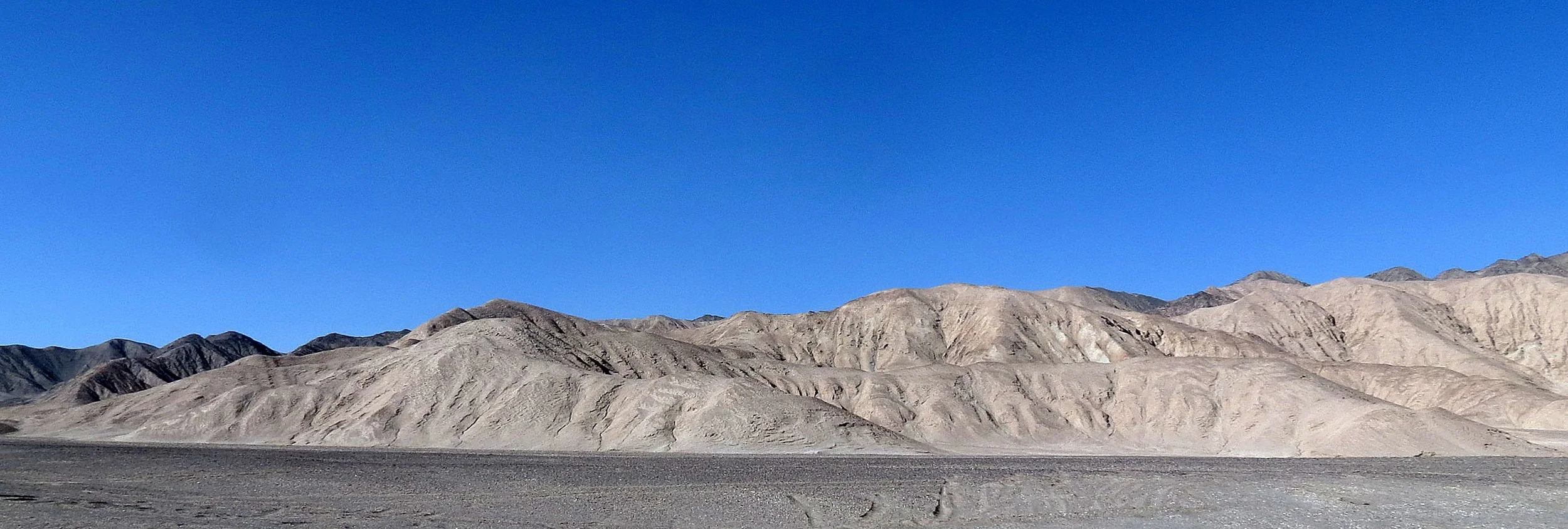 LOP NUR WILD BACTRIAN CAMEL RESERVE - XINJIANG CHINA (72).JPG