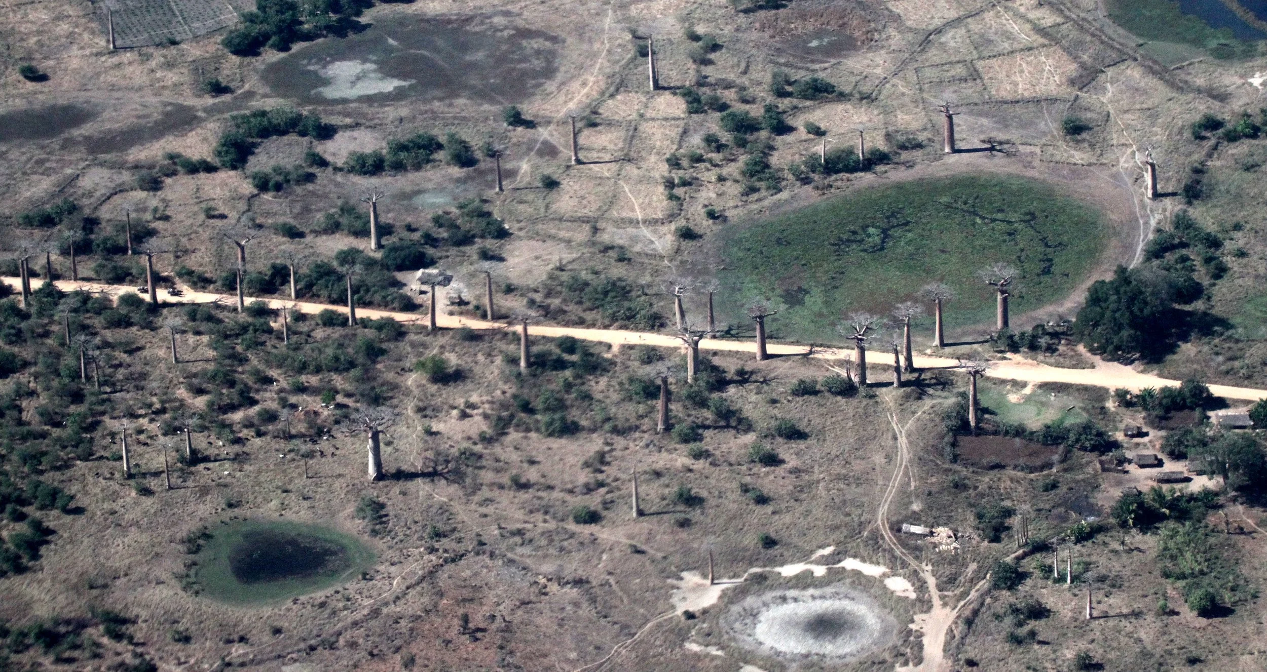 MODONDAVA MADAGASCAR - AVENUE DU BAOBABS FROM THE AIR (7).JPG