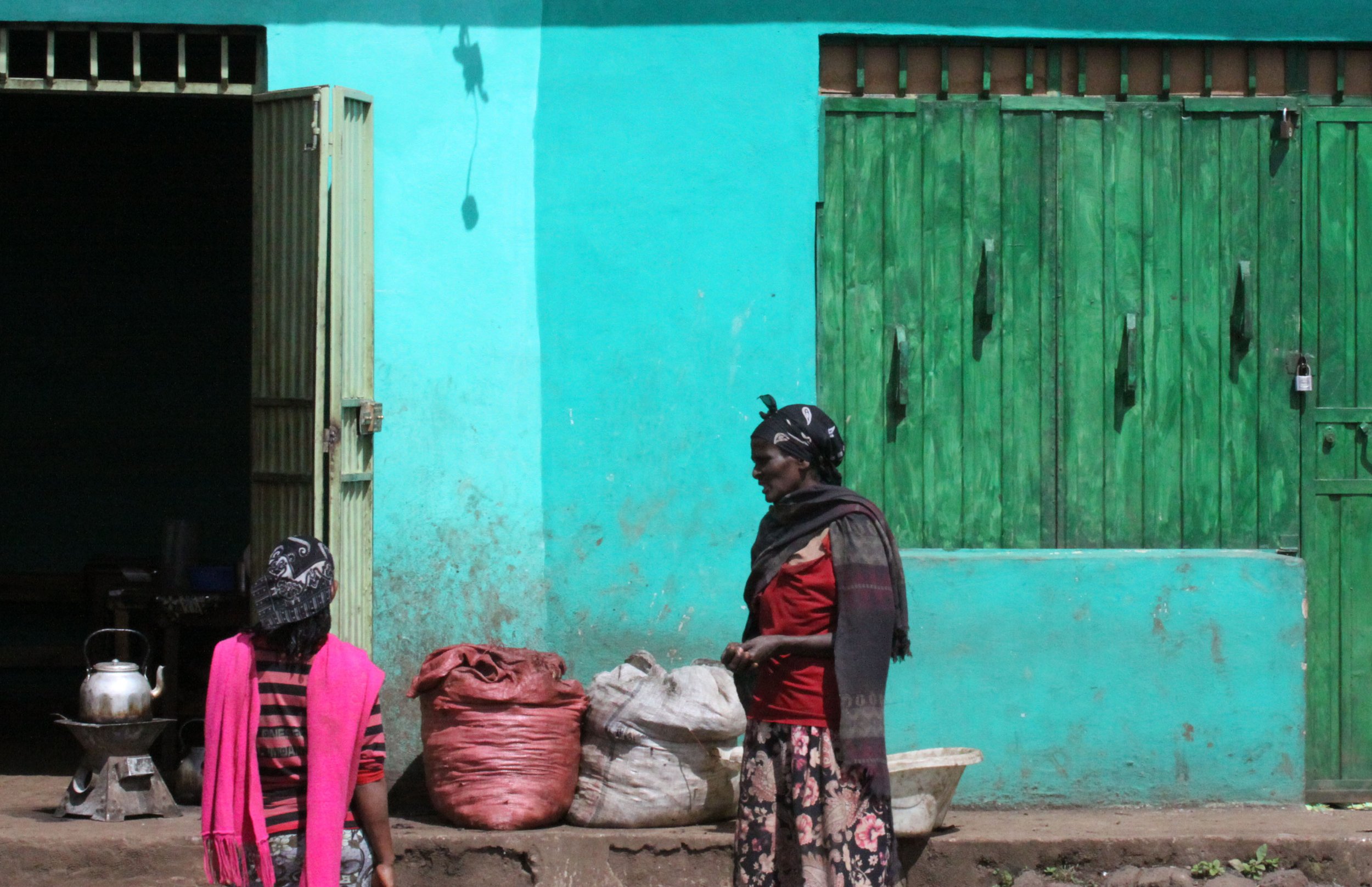 SENKELE SANCTUARY SURROUNDING VILLAGES - ETHIOPIA (9).JPG