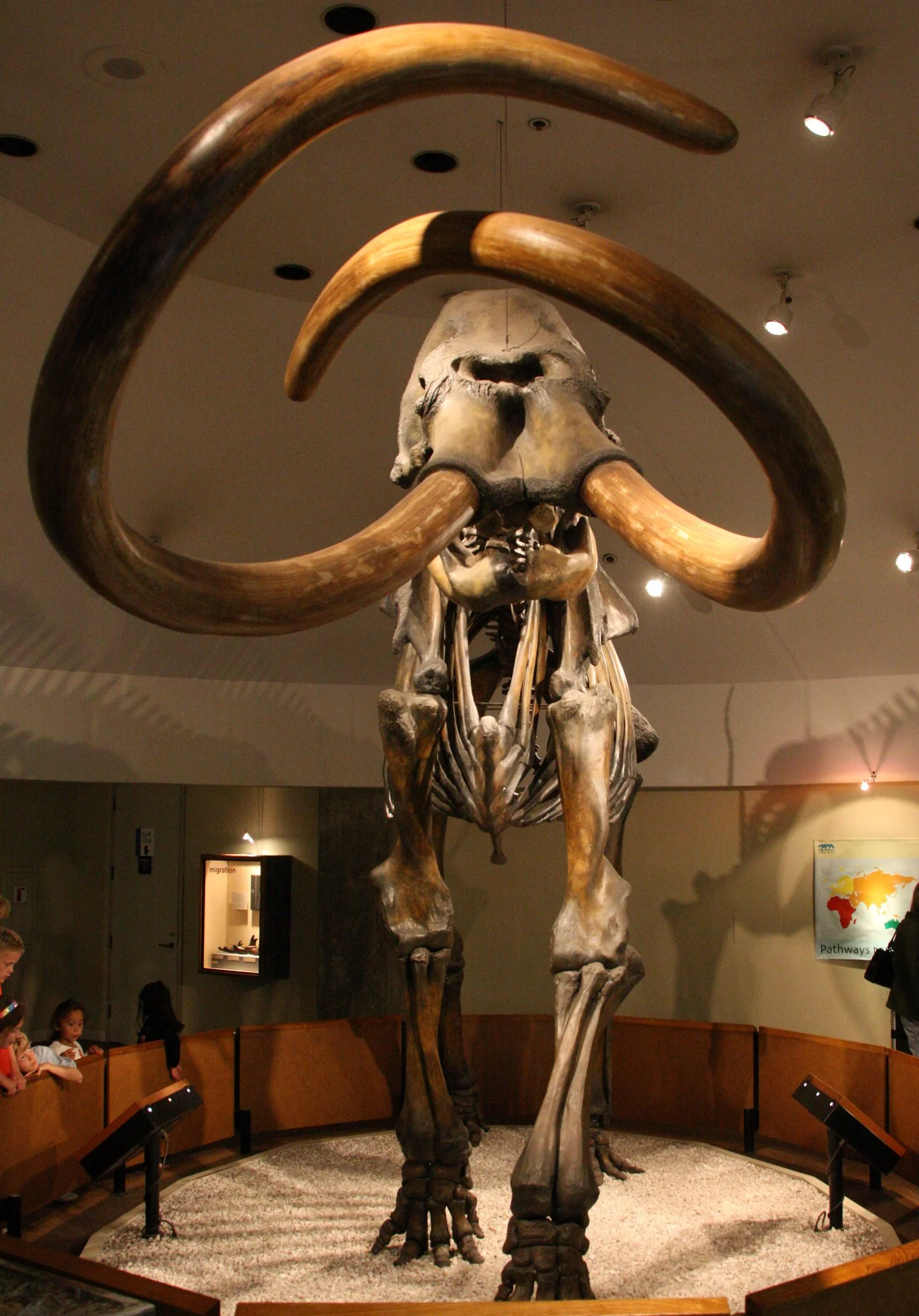 2010-4-5 LA BREA TAR PITS LOS ANGELES (4).JPG