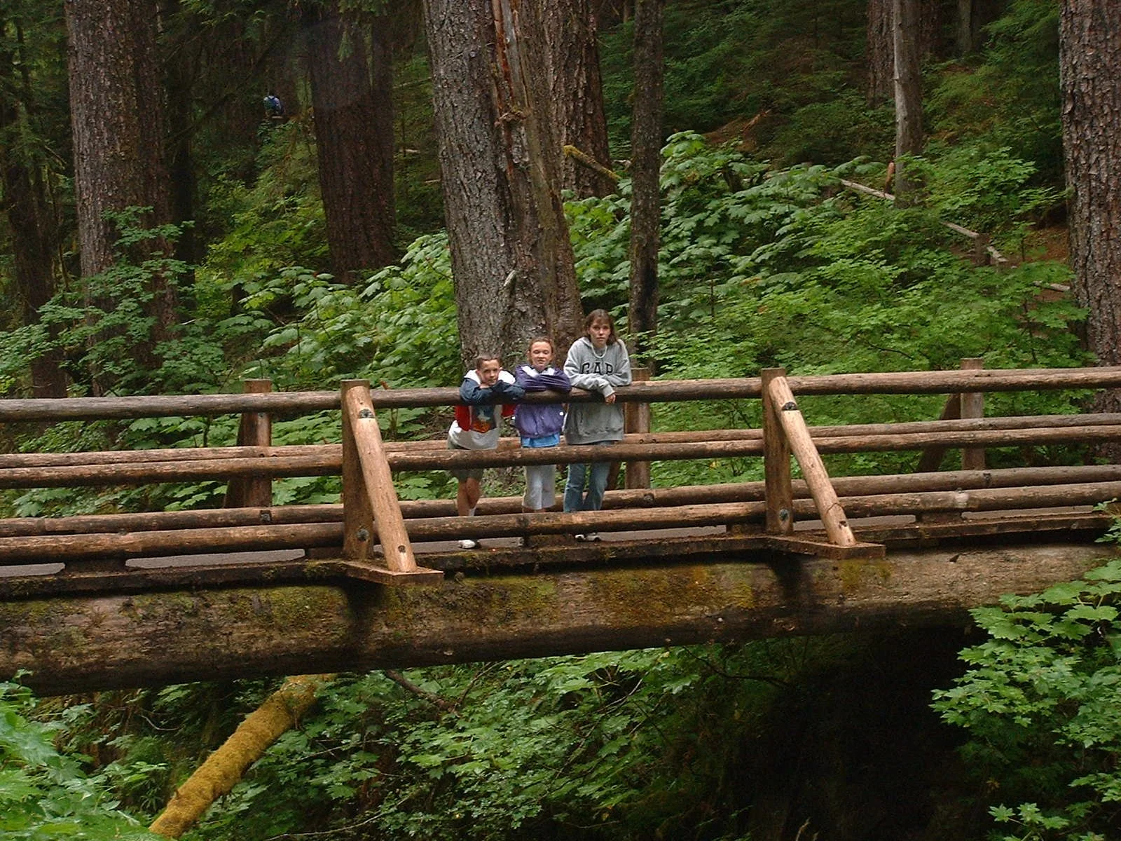 2003-8-1 WASHINGTON VISIT FROM ROBINSONS ET AL (188).JPG