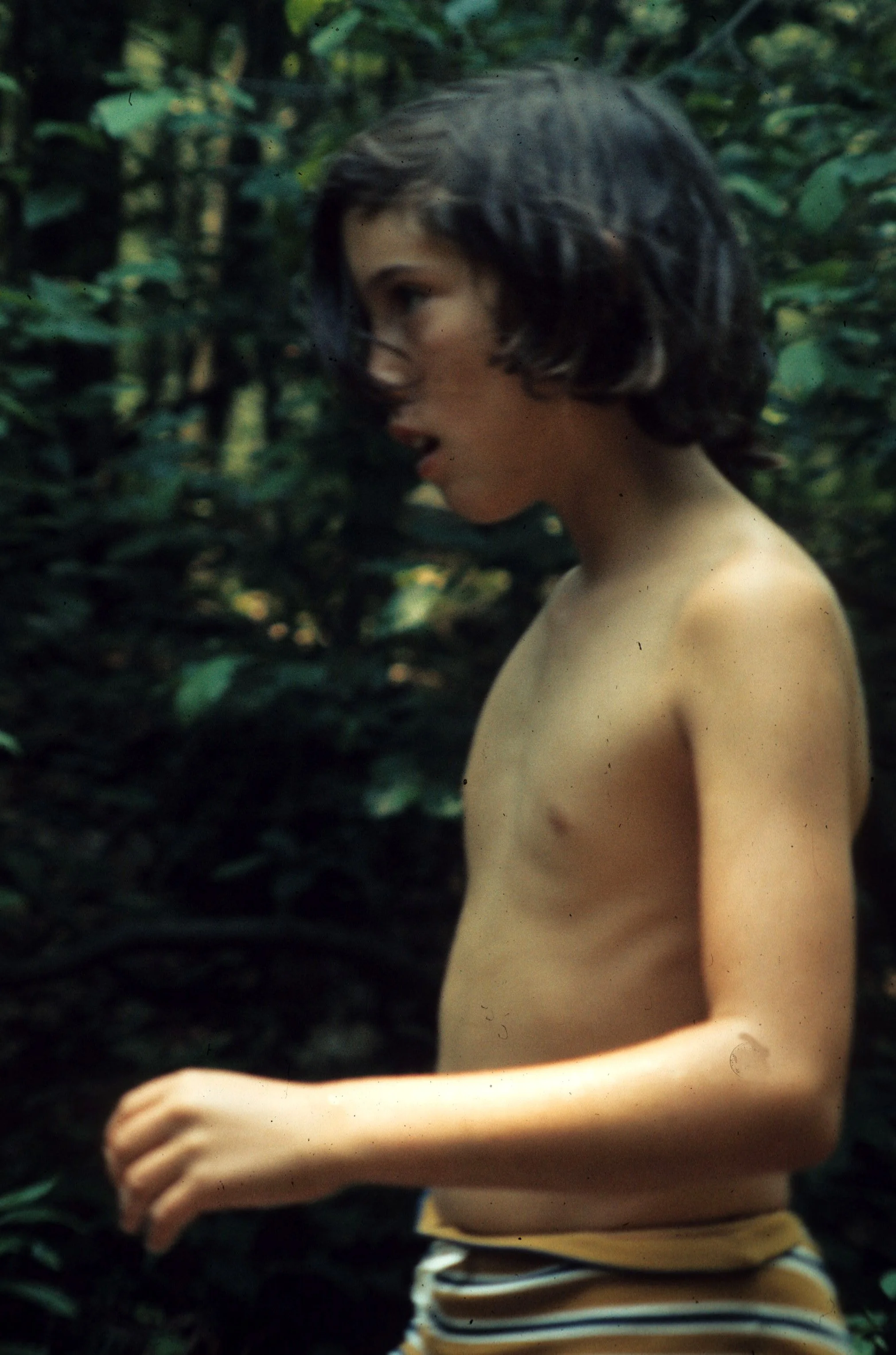 1972 - SUMMER TRIP - VIRGINIA - ME AT CHRISTOPHEL FARM.jpg