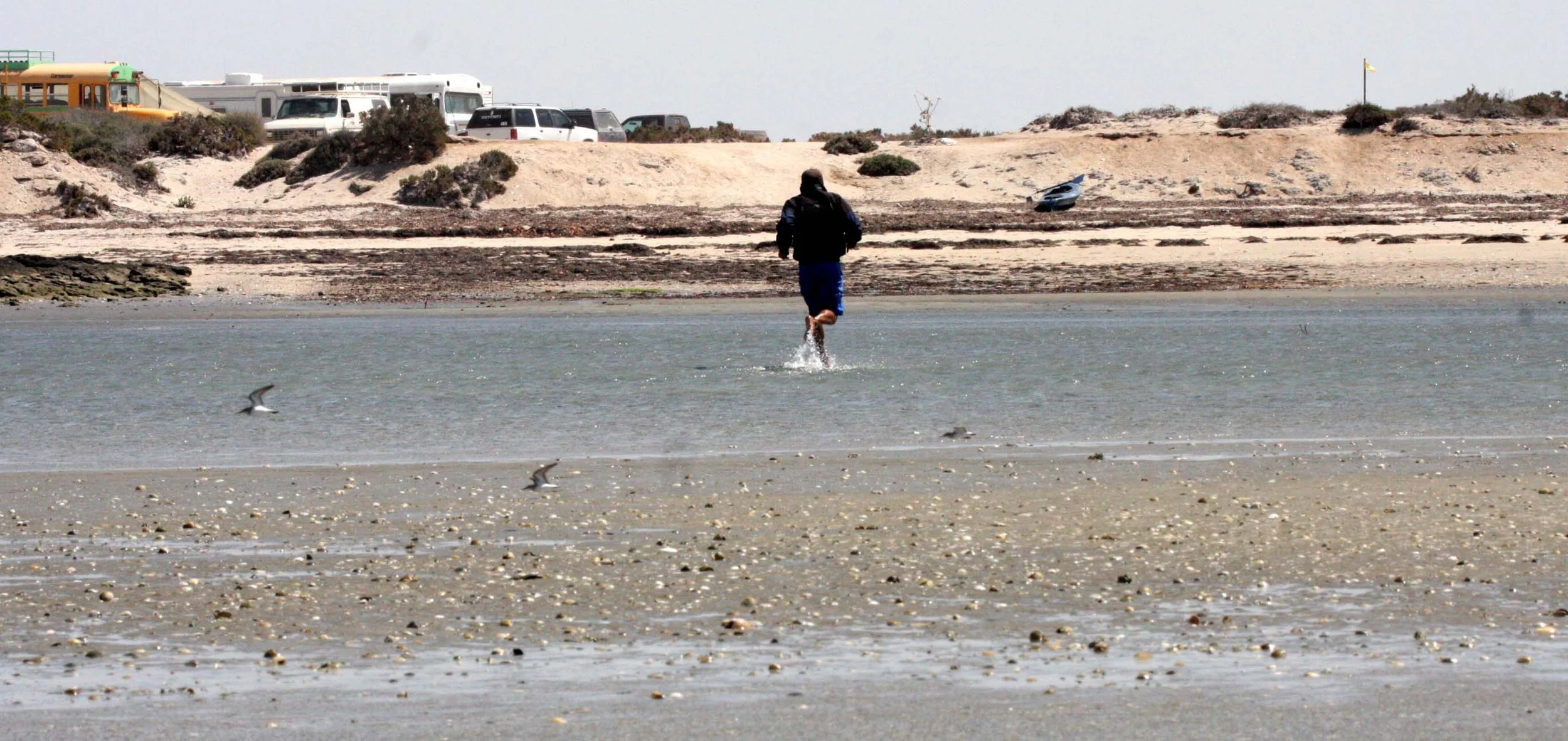 SAN IGNACIO LAGOON BAJA MEXICO - JESUS DE MAYOR.JPG
