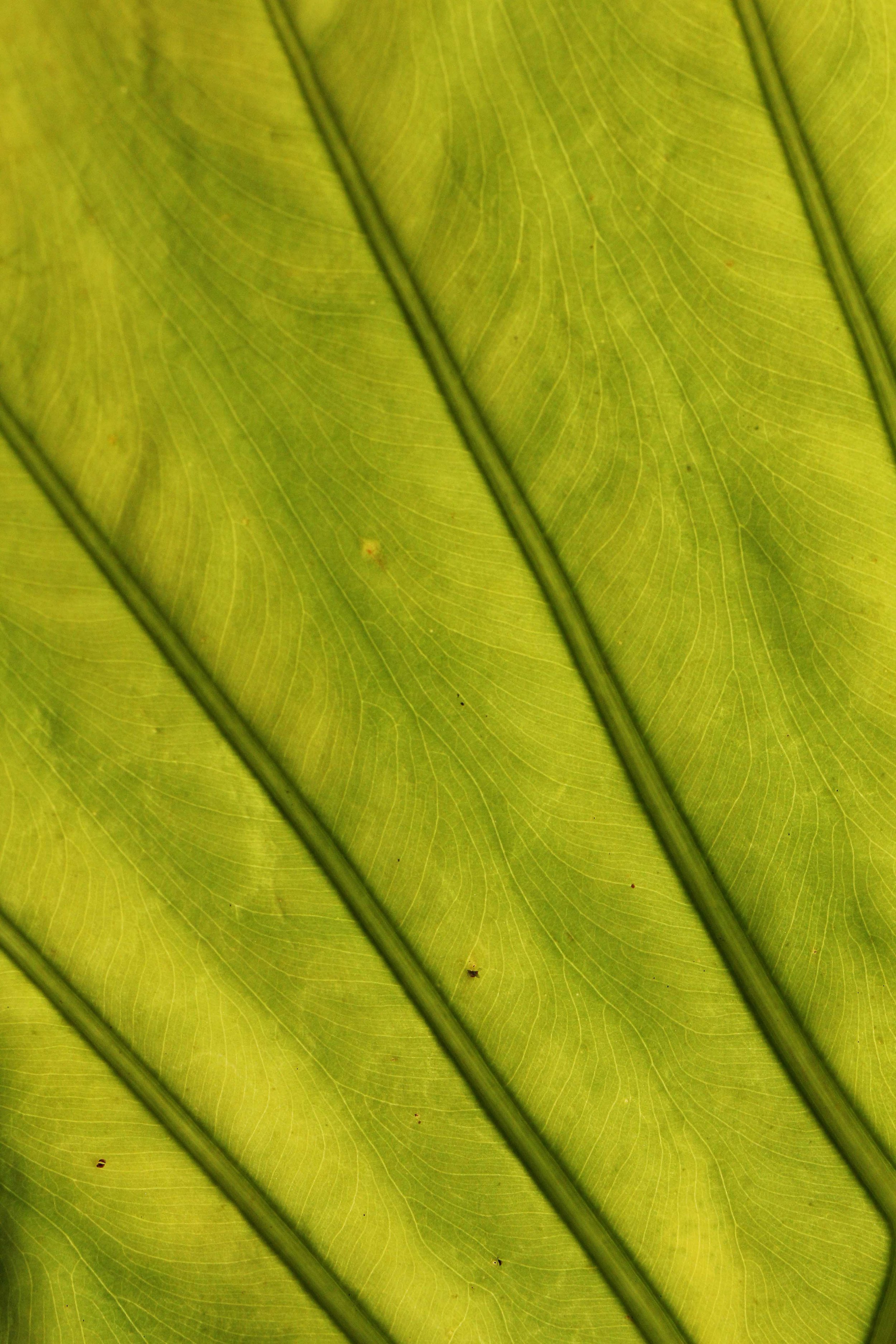 2015 Koh Lanta Songkran with friends from ISB (557).JPG