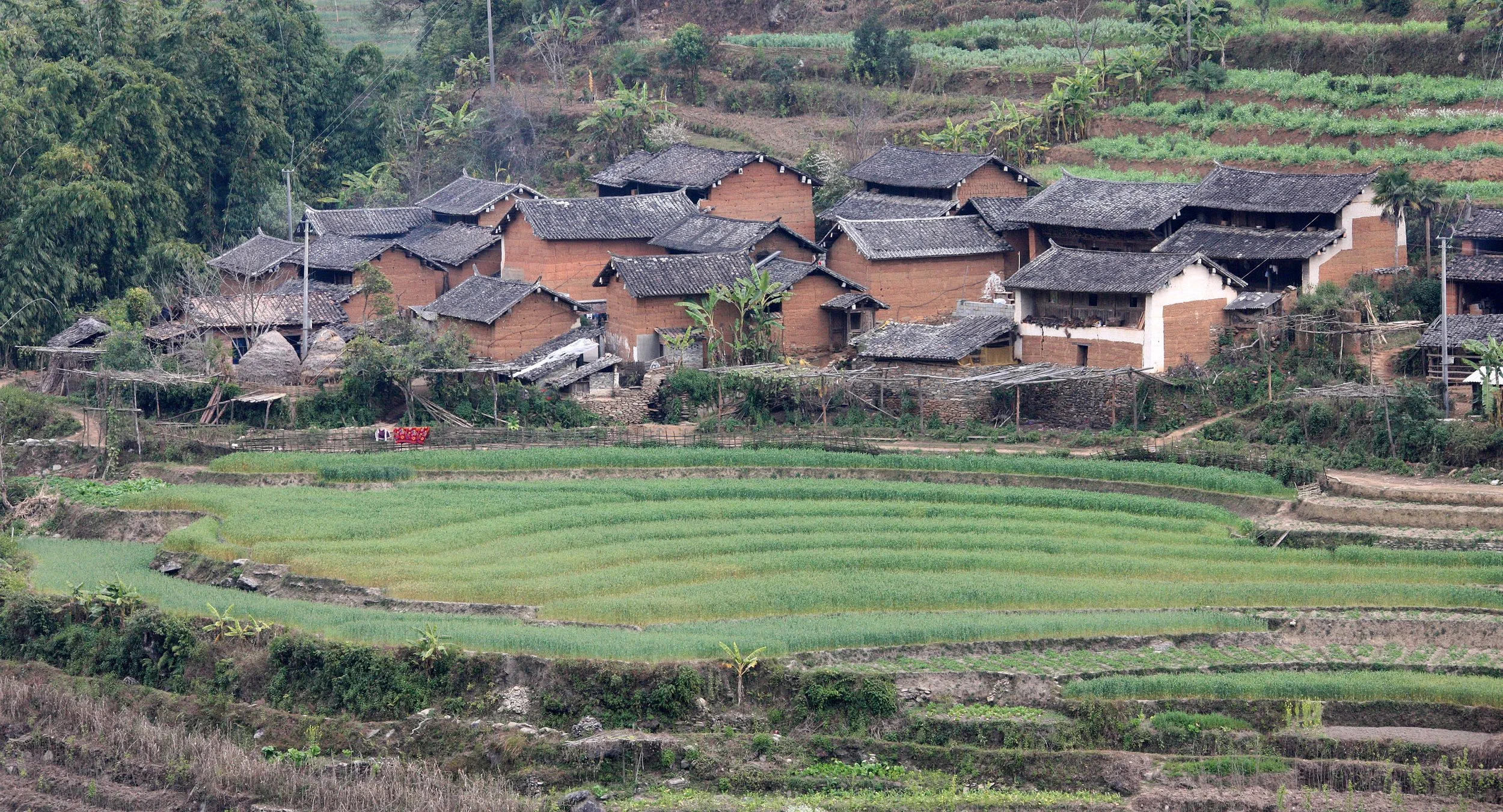 YUNNAN - WULIANGSHAN NATURE RESERVE AND SURROUNDING REGION (36).JPG
