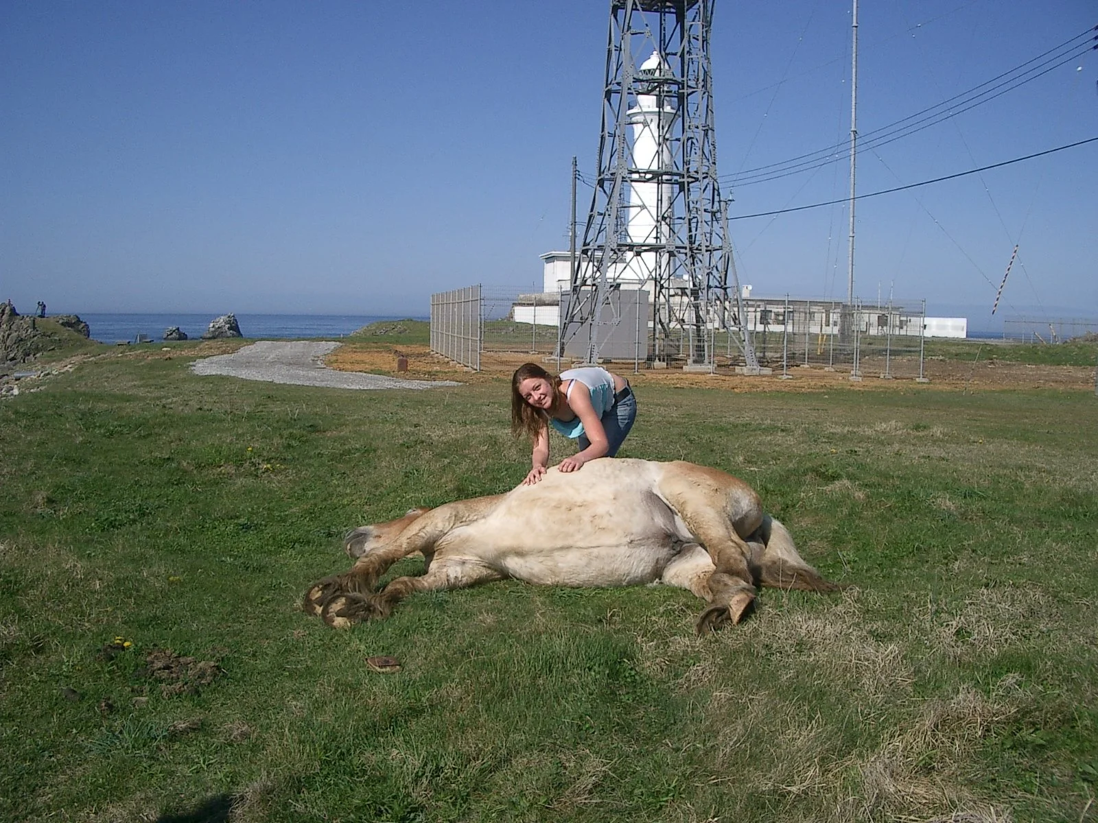 JAPAN - 2004 - MAY - TRIP TO MUTSU AND KANSAI AND TOKYO (7).JPG