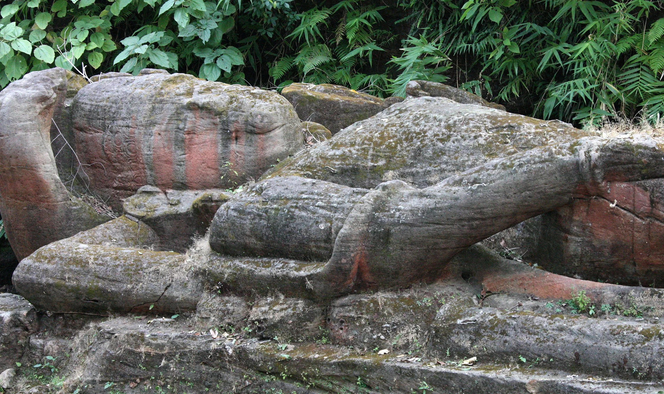 MADHYA PRADESH - BANDHAVGAR NATIONAL PARK MADHYA PRADESH INDIA (18).JPG