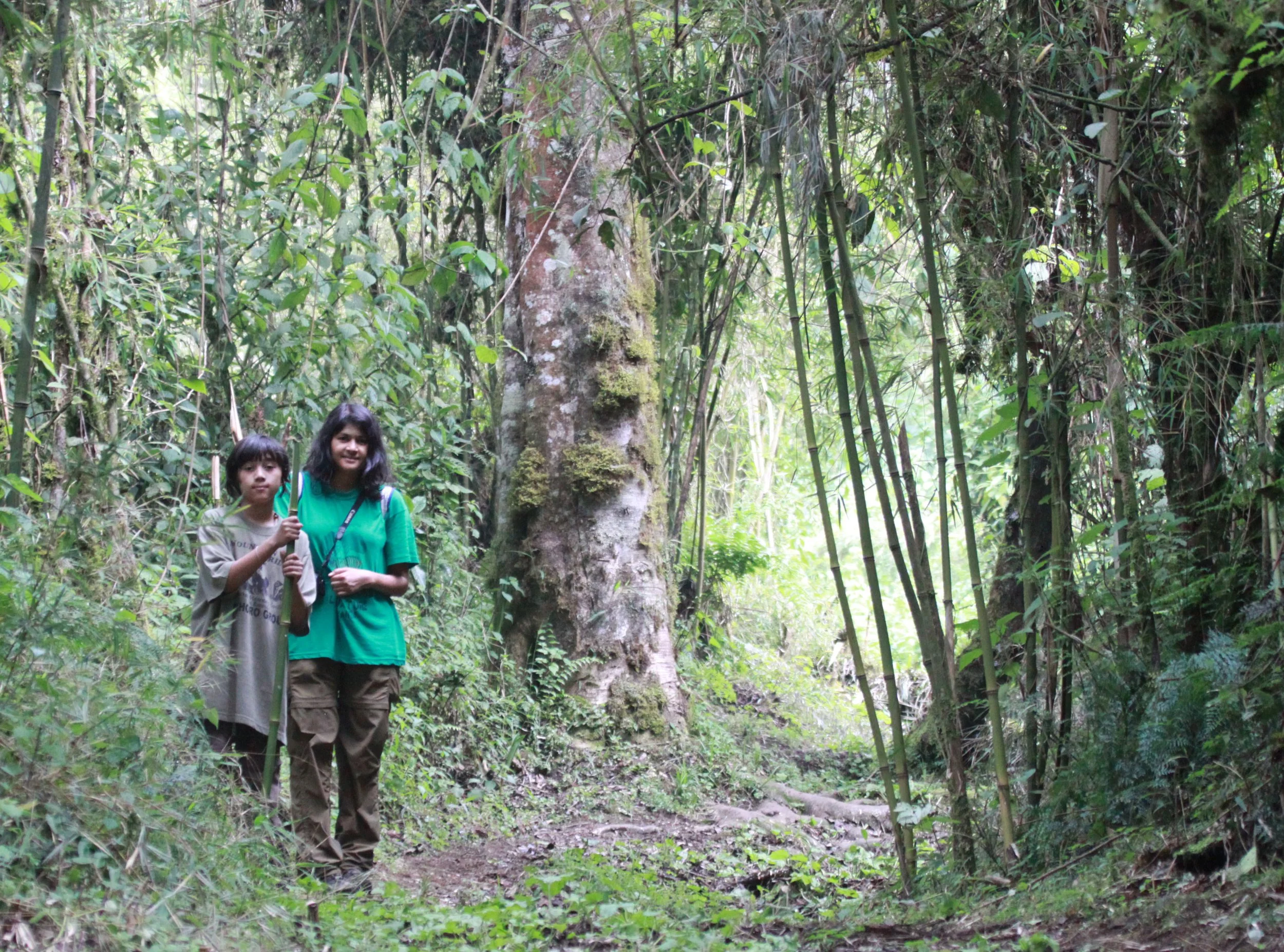 RWENZORI NATIONAL PARK UGANDA (306).JPG