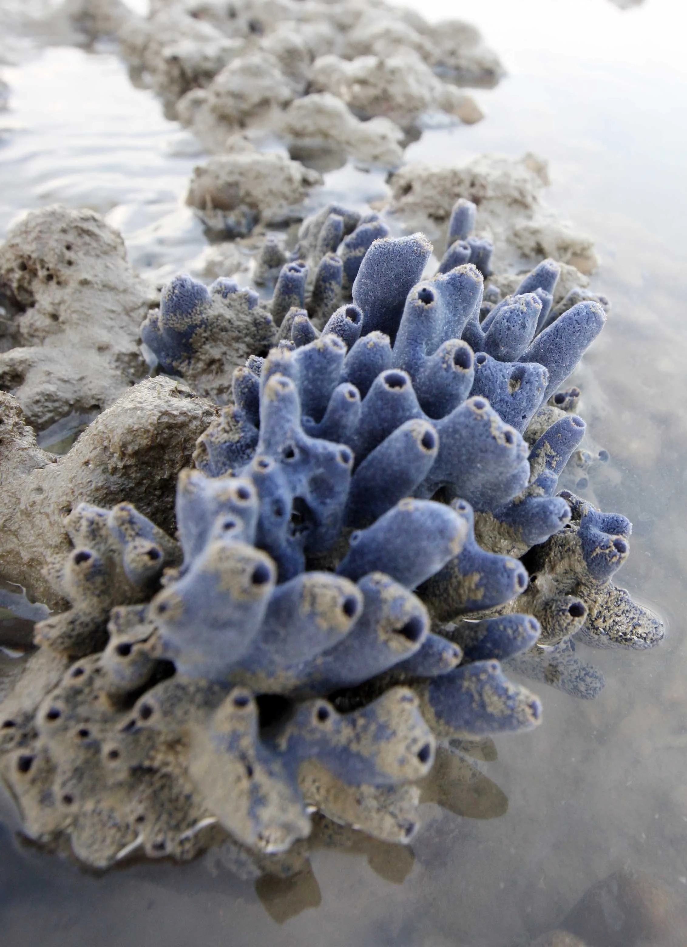 2015 Koh Lanta Songkran with friends from ISB (249).JPG