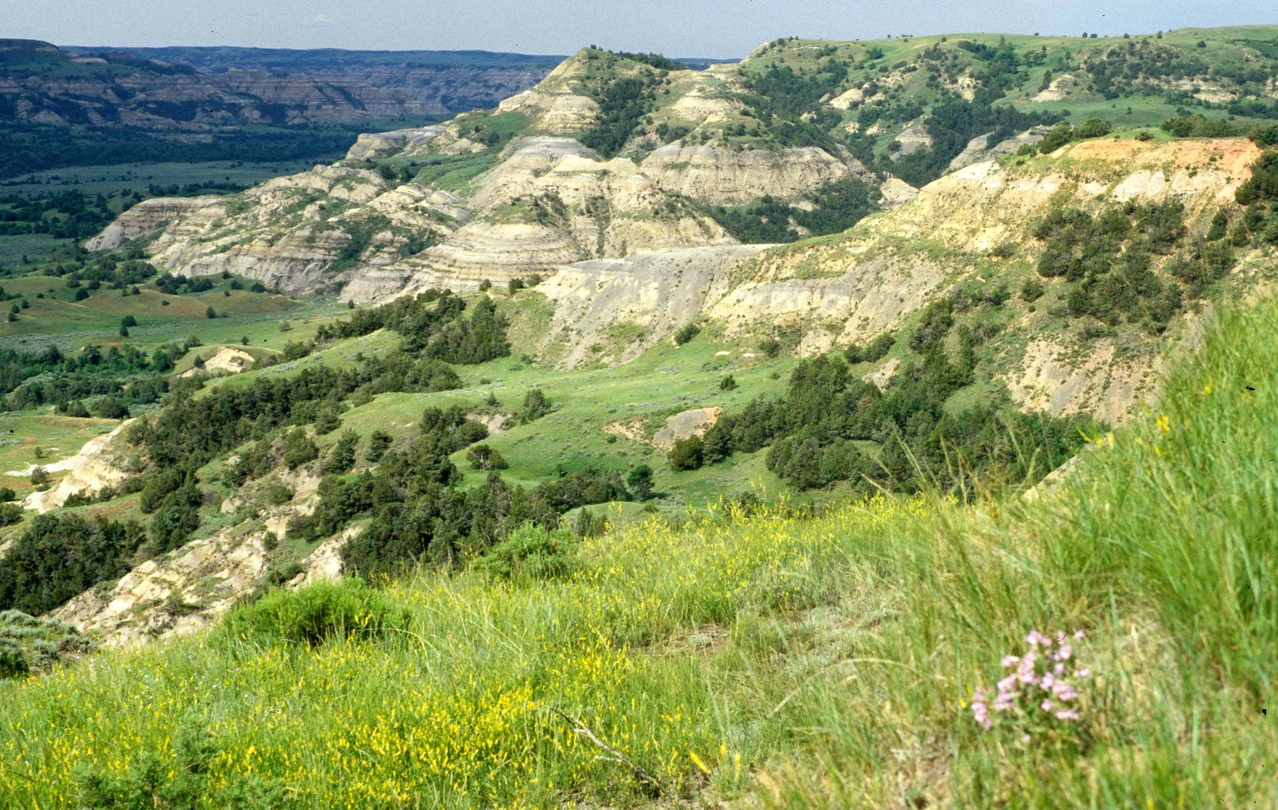 GREAT PLAINS - THEODORE ROOSEVELT NP A.jpg