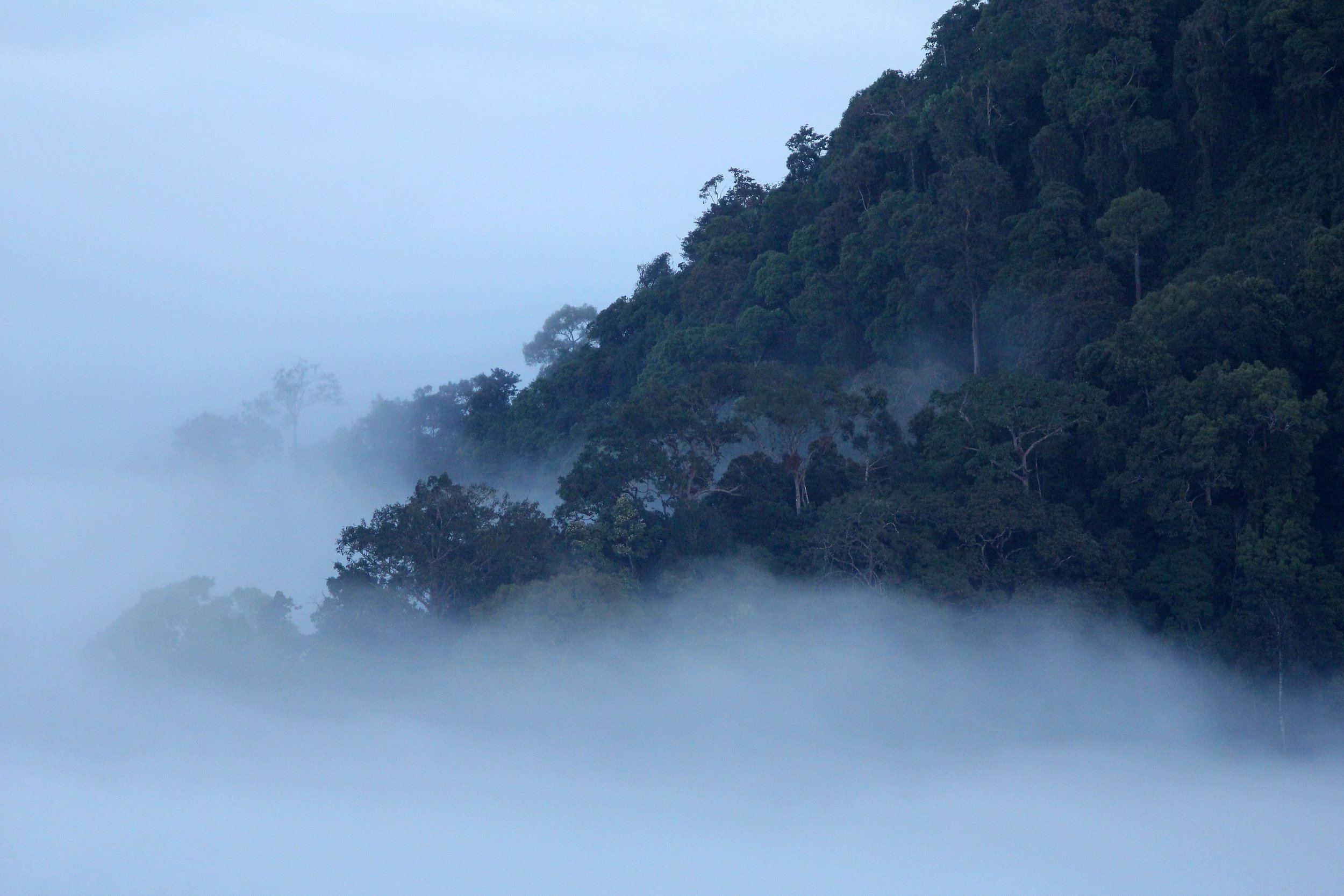 Spectacular Thale Mog in the morning at Phanoen Thung.