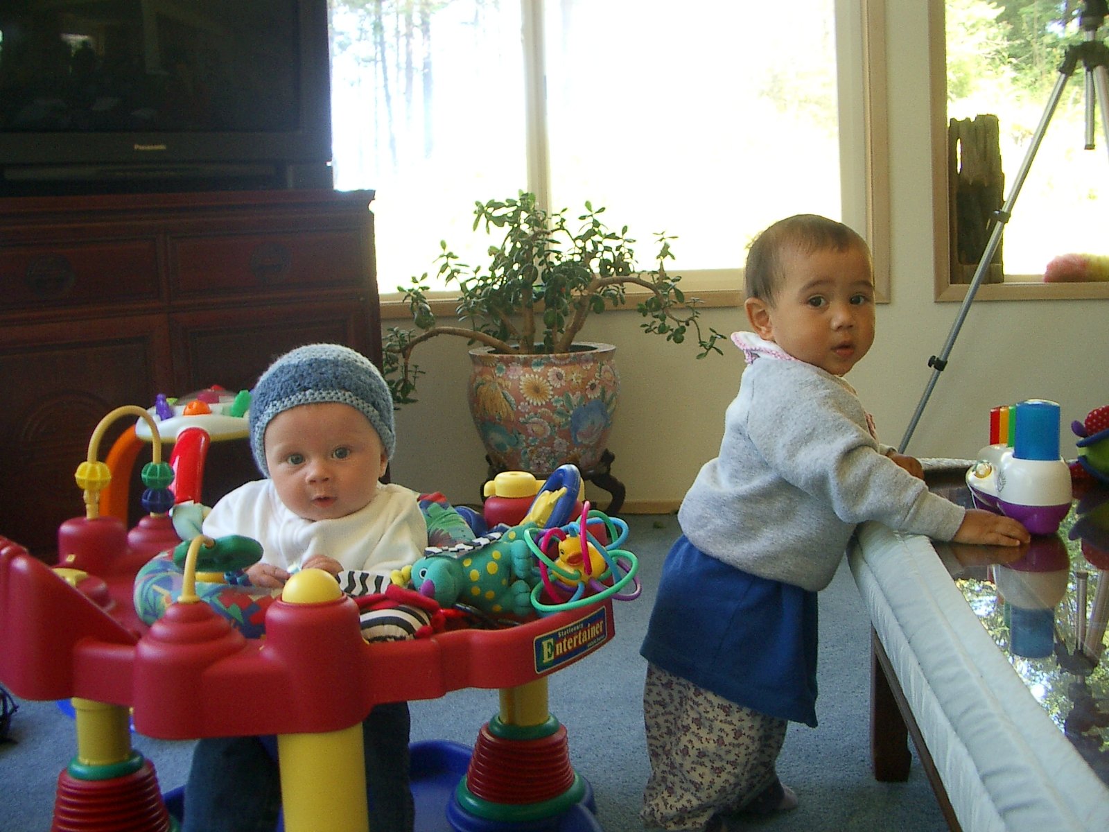 2003-7-31 FAMILY REUNION IN WASHINGTON AND CANADA (245).JPG