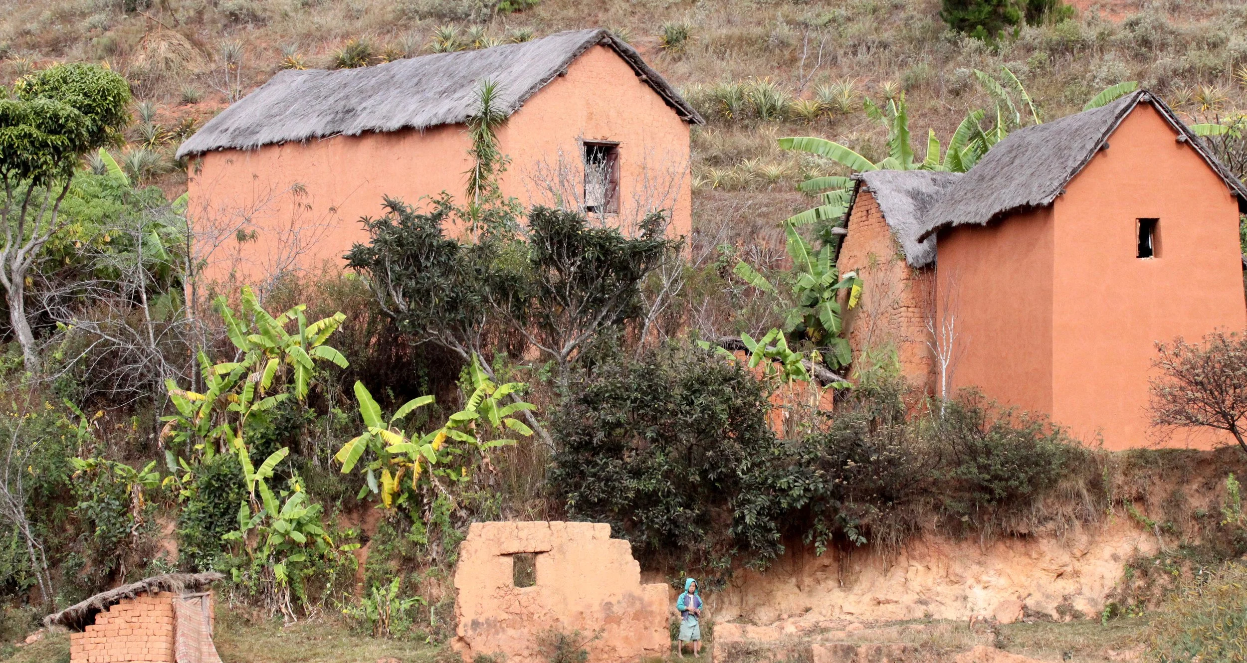 CENTRAL HIGHLANDS - ROAD TO RANOMAFANA (18).JPG