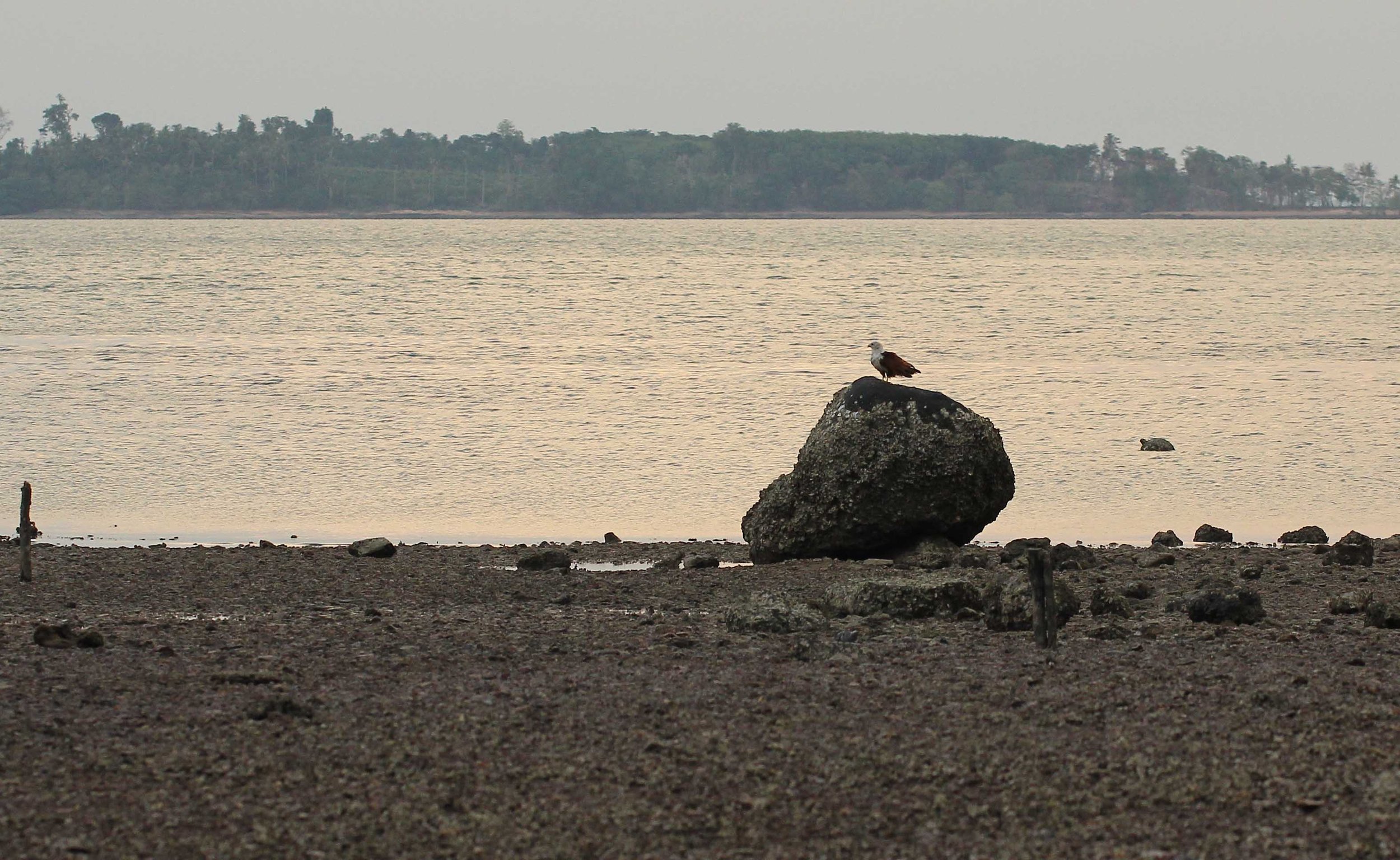 2015 Koh Lanta Songkran with friends from ISB (703).JPG