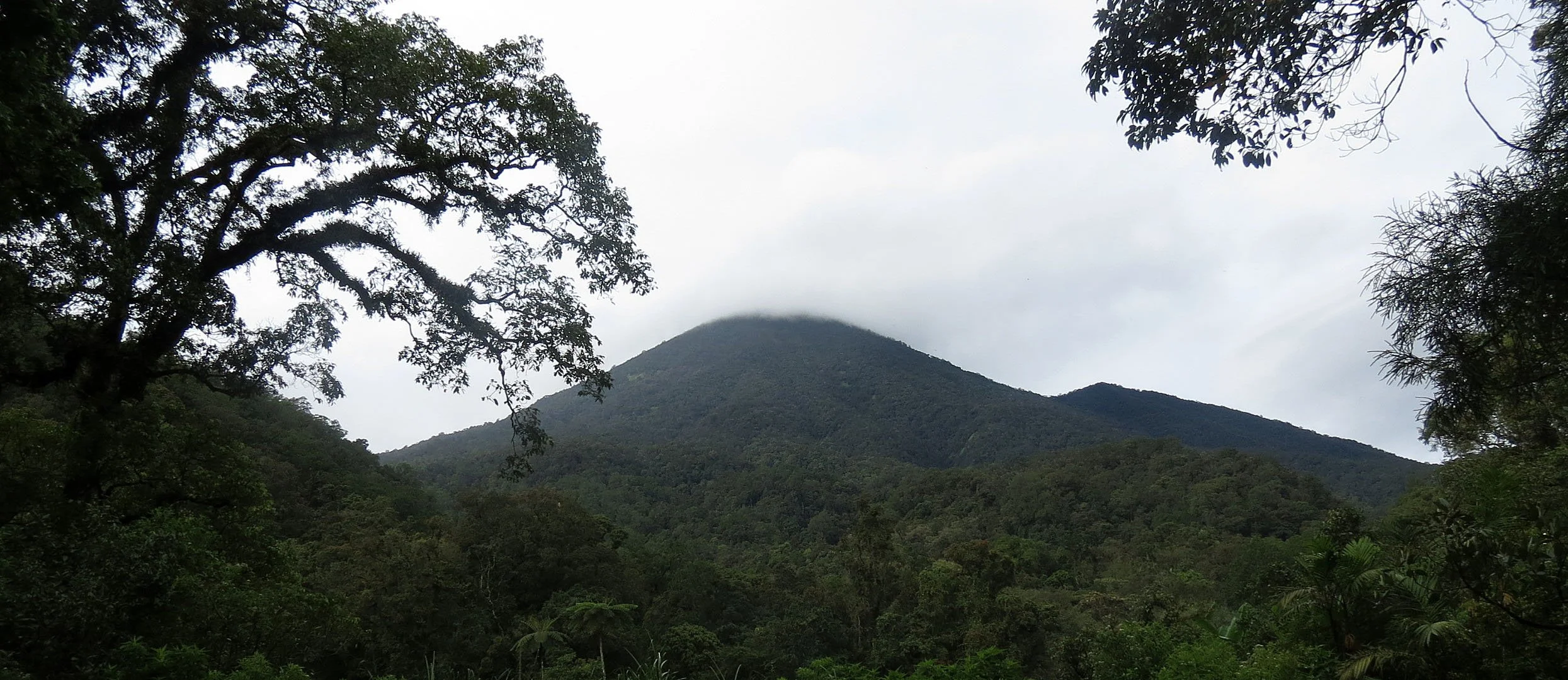 GEDE NATIONAL PARK - JAVA BARAT INDONESIA (61).JPG