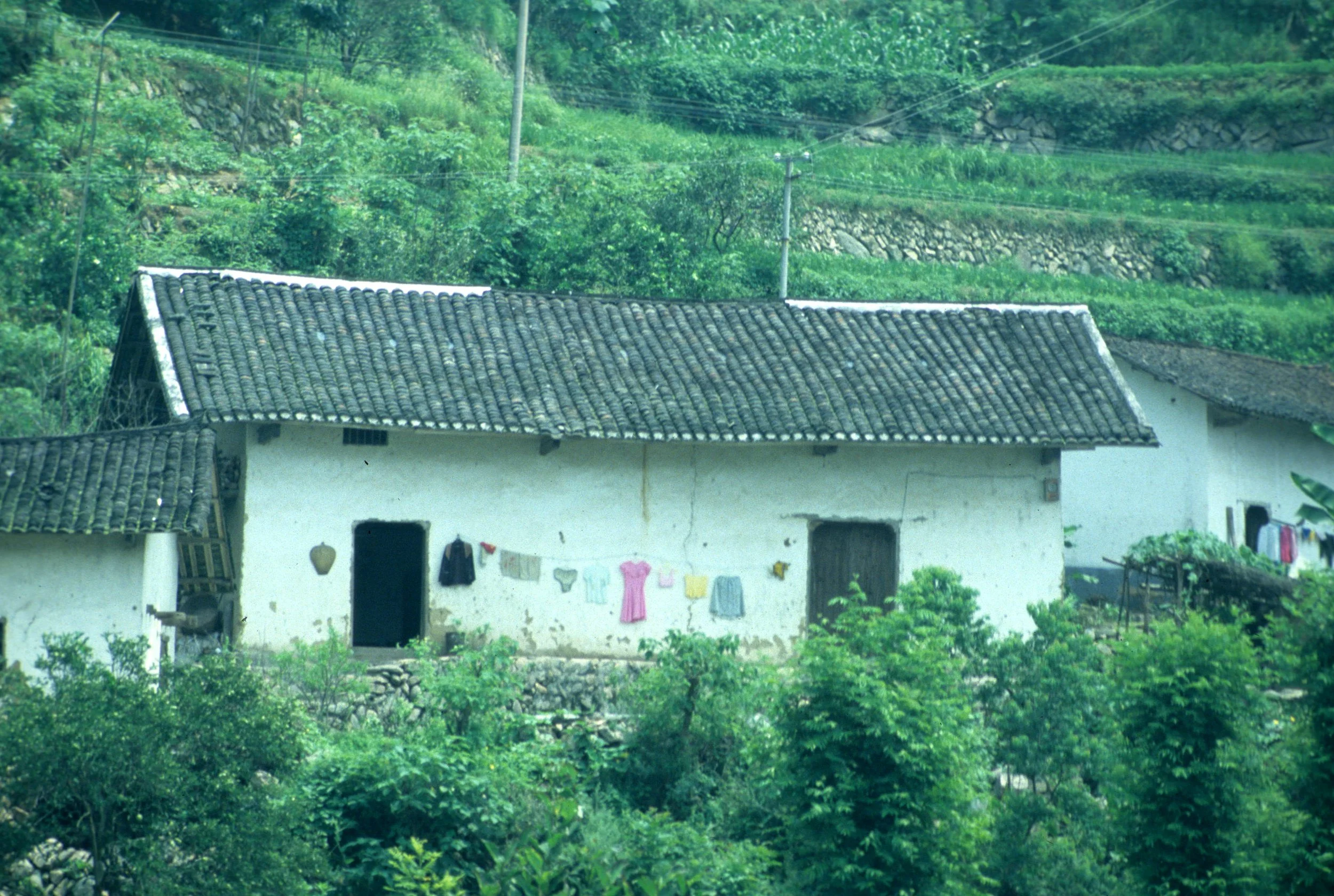 YANGTZE - THREE GORGES CRUISE SCENERY (3).jpg