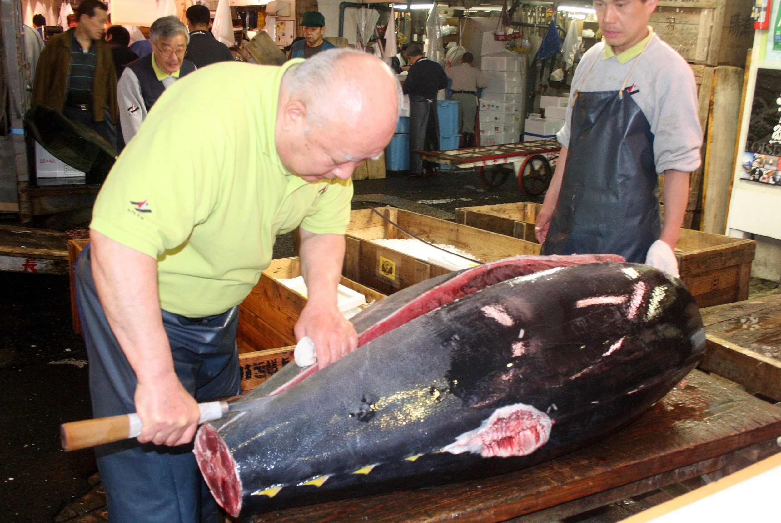 TOKYO - MAY 2009 - TSUKIJI MARKET (37).JPG